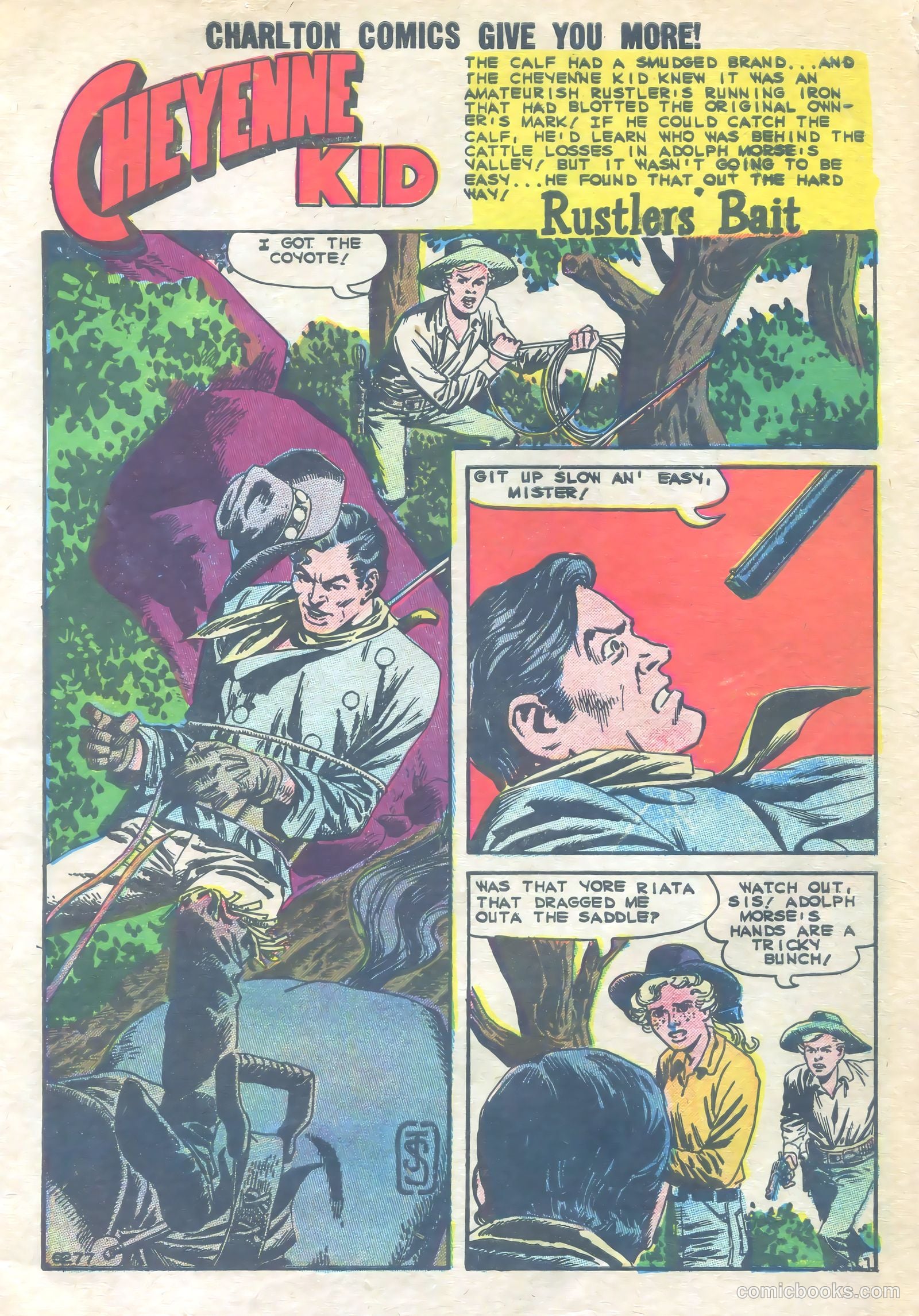 Cheyenne Kid #22 — page 3 of 36