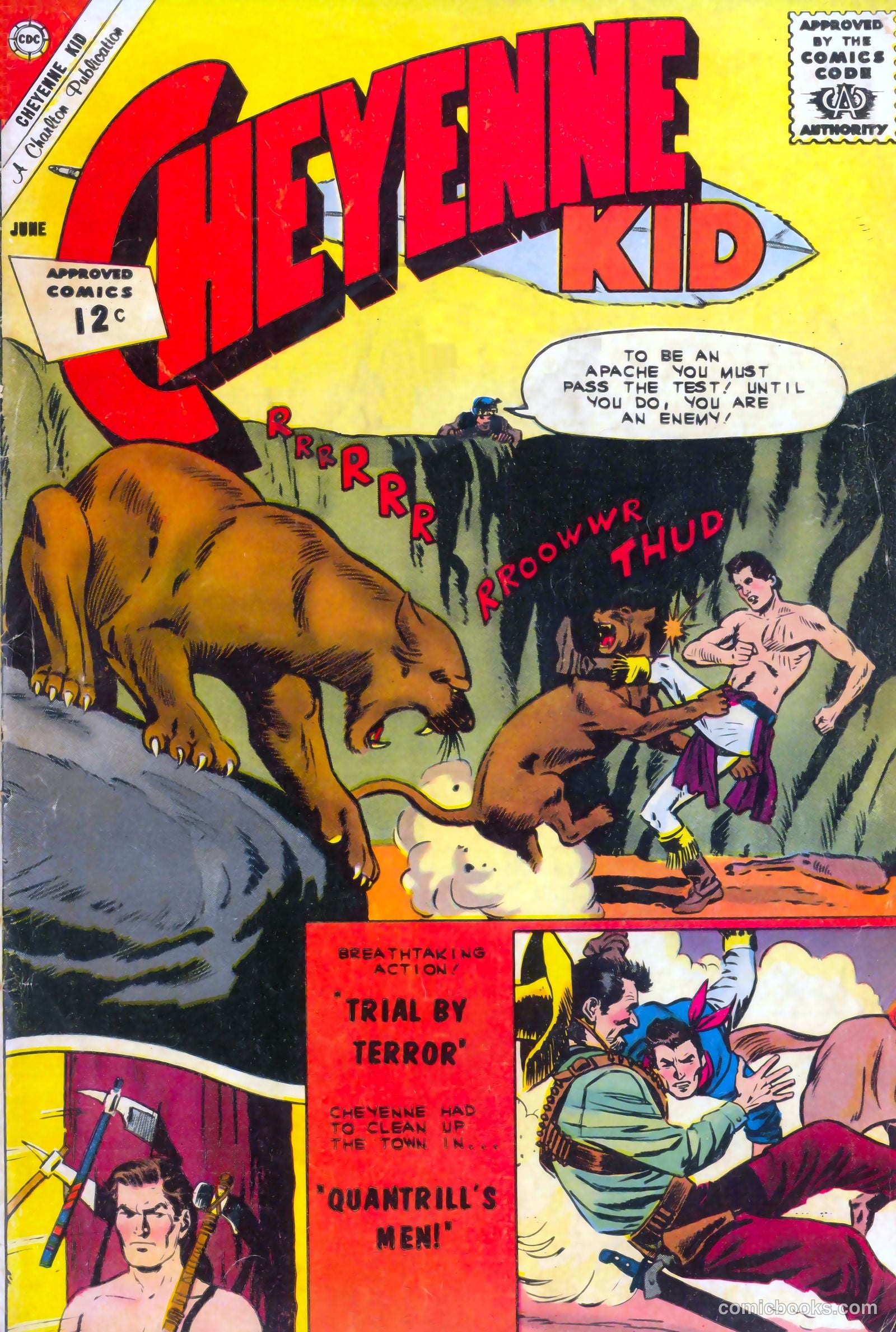 Cheyenne Kid #34 — page 1 of 36