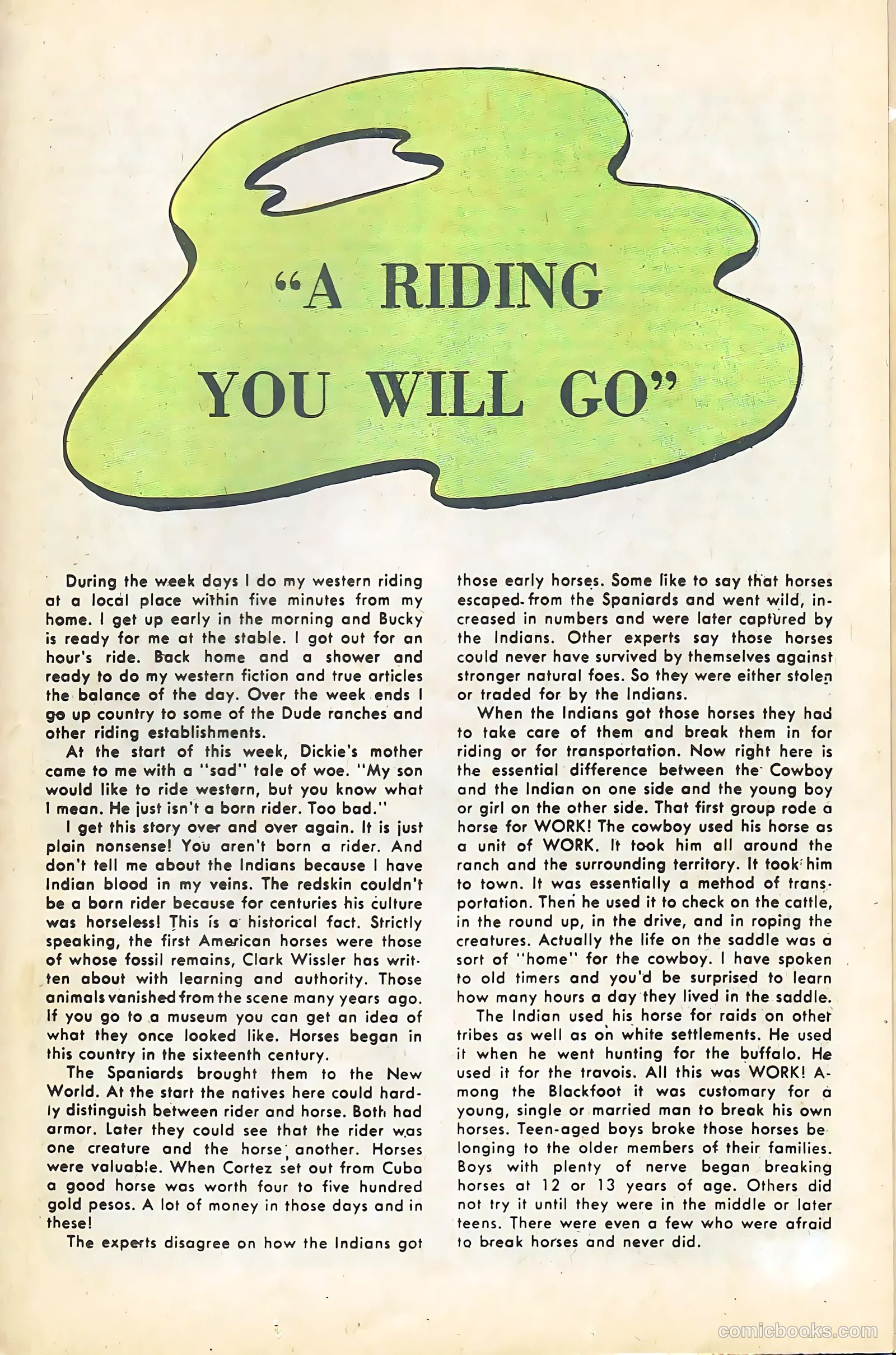 Cheyenne Kid #47 — page 25 of 36