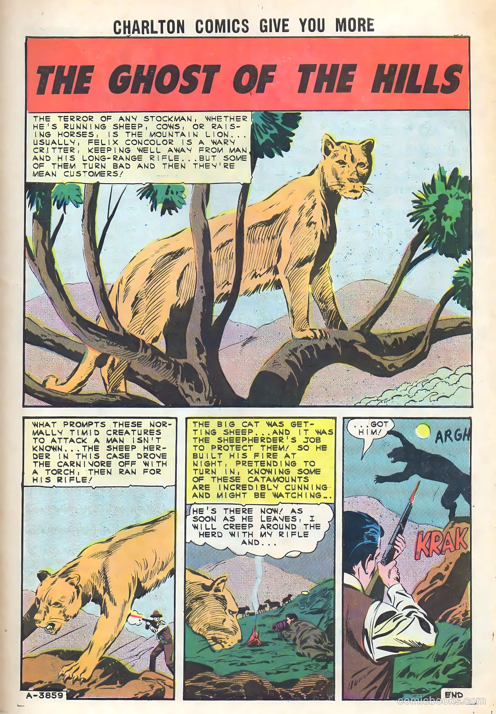 Cheyenne Kid #50 — page 33 of 36