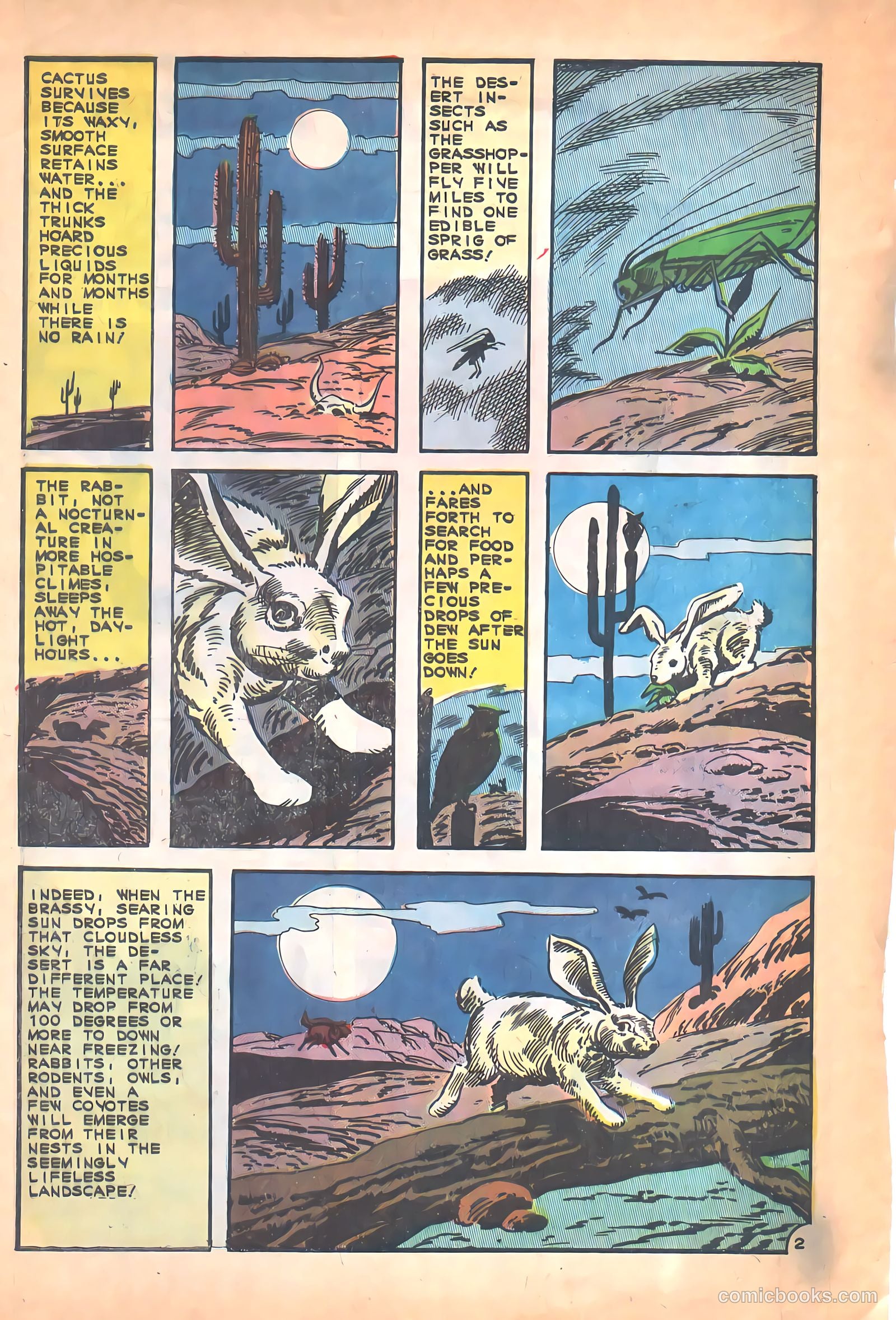 Cheyenne Kid #53 — page 32 of 36