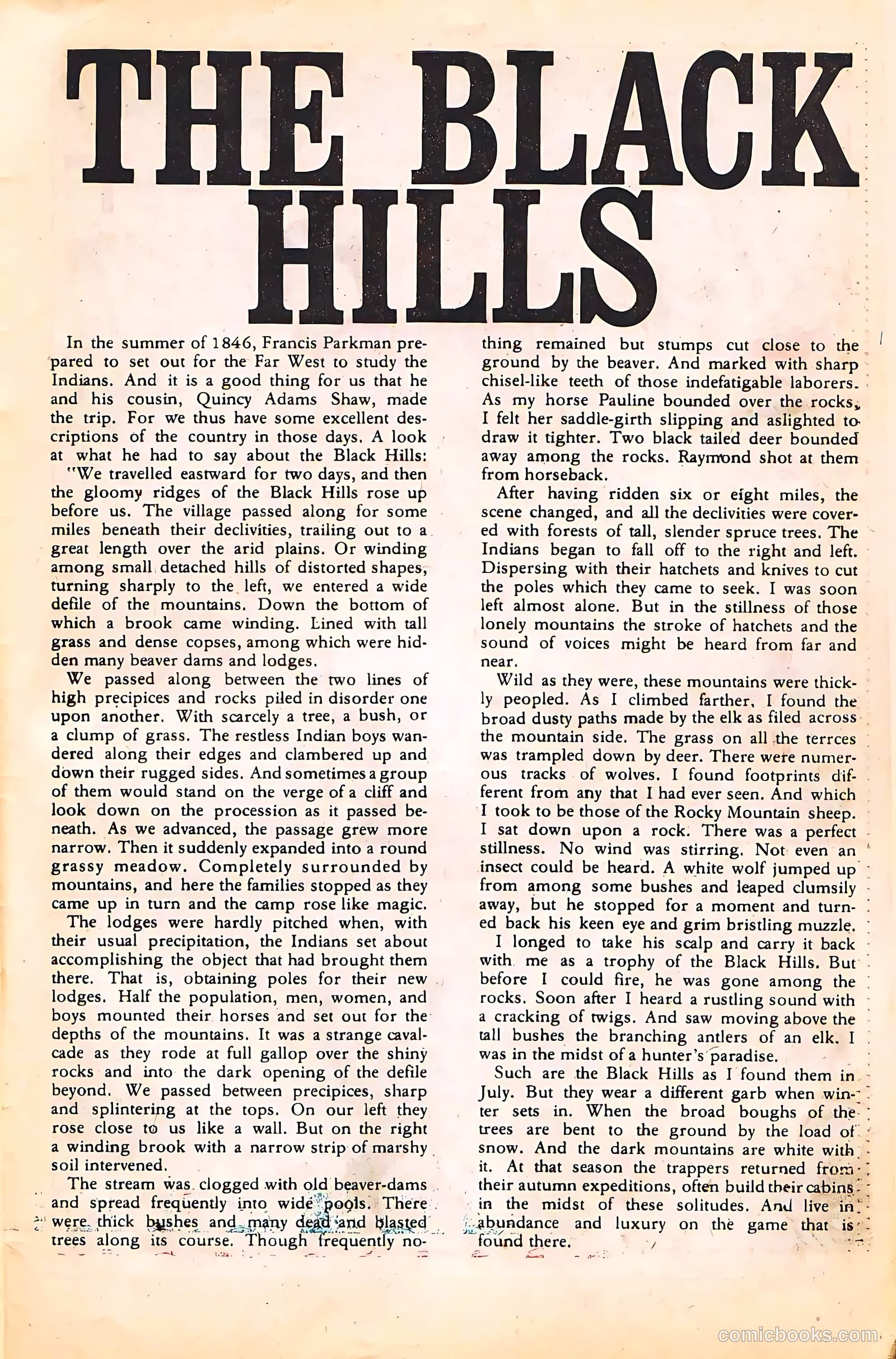 Cheyenne Kid #58 — page 29 of 36
