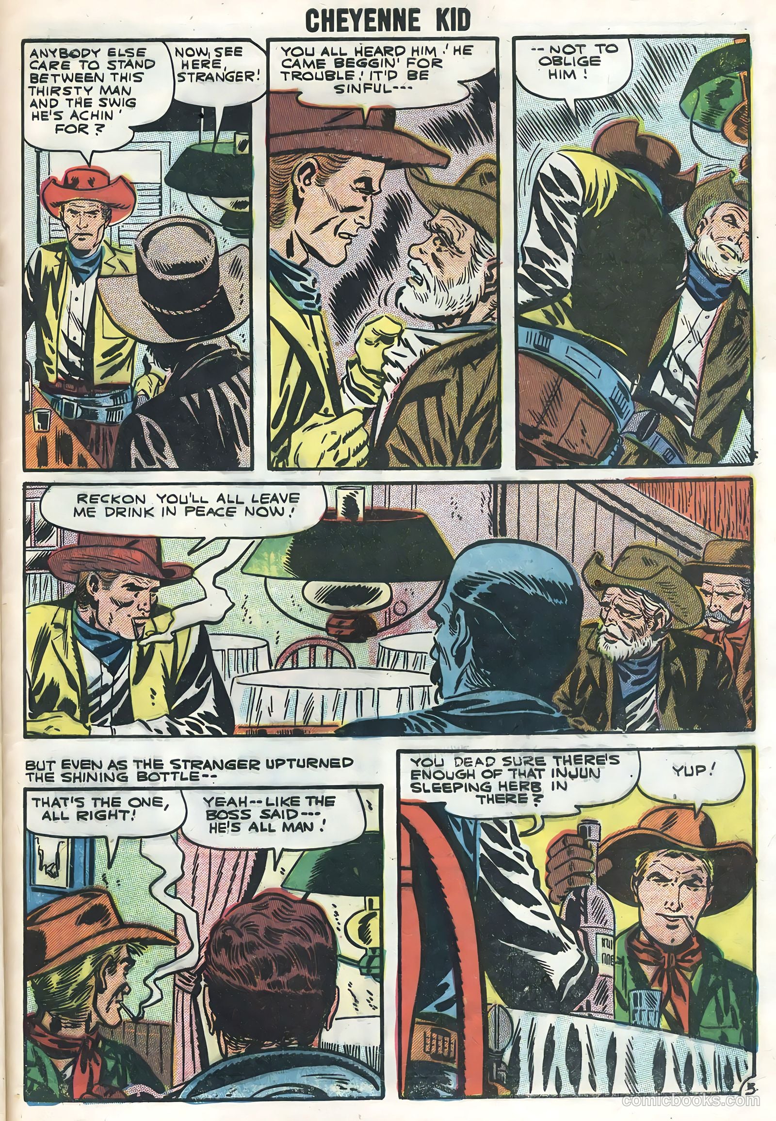 Cheyenne Kid #8 — page 29 of 36