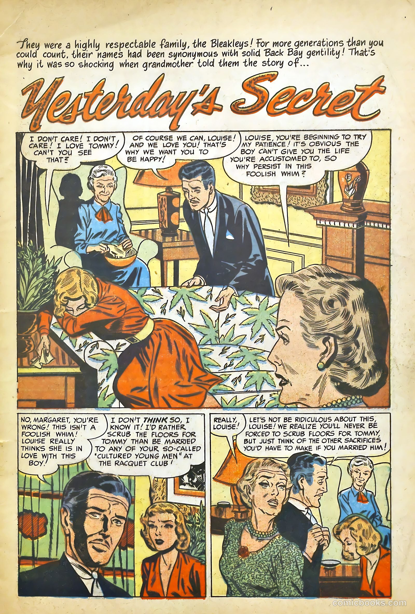 Cinderella Love #13 — page 3 of 36