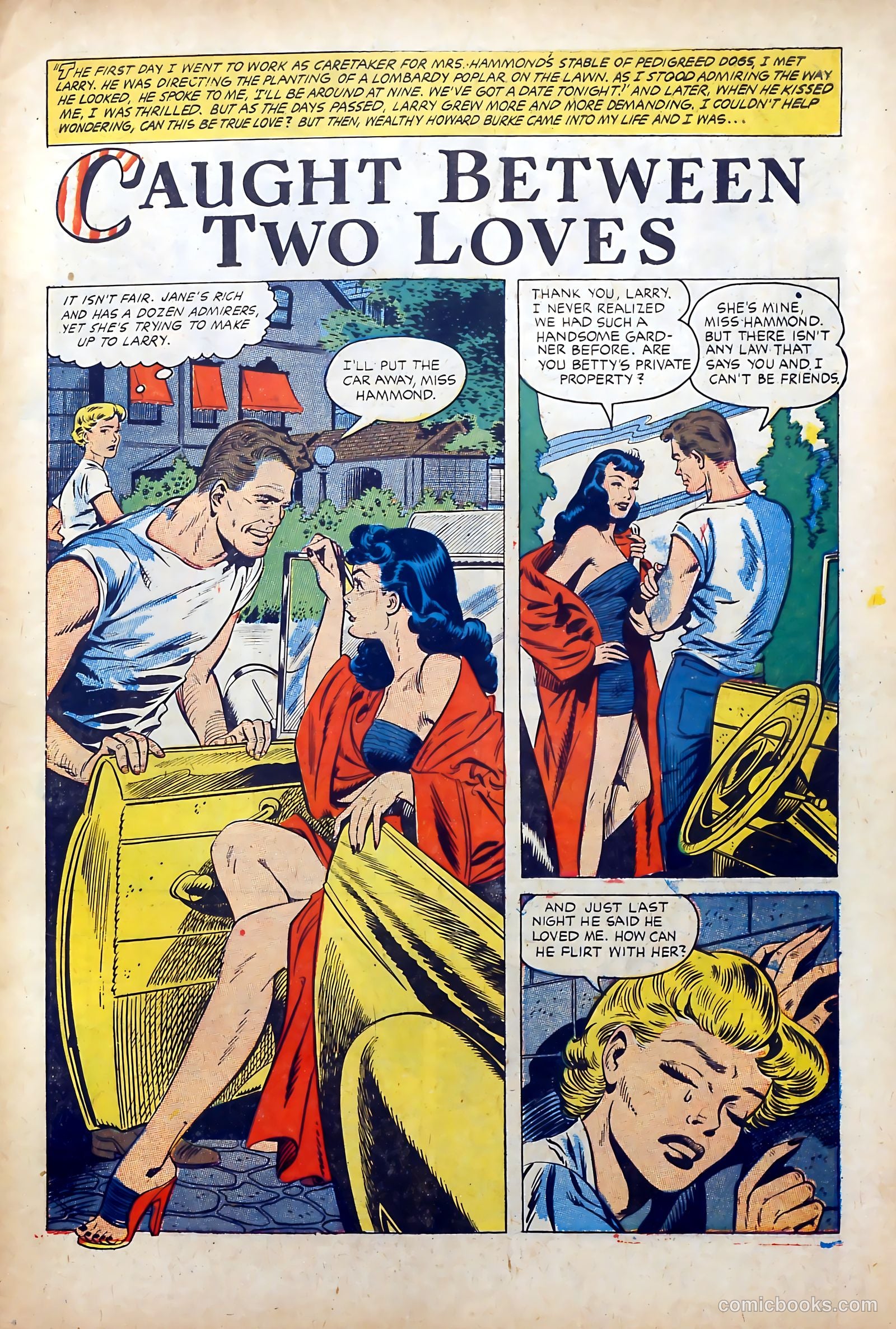 Cinderella Love #14 — page 3 of 36