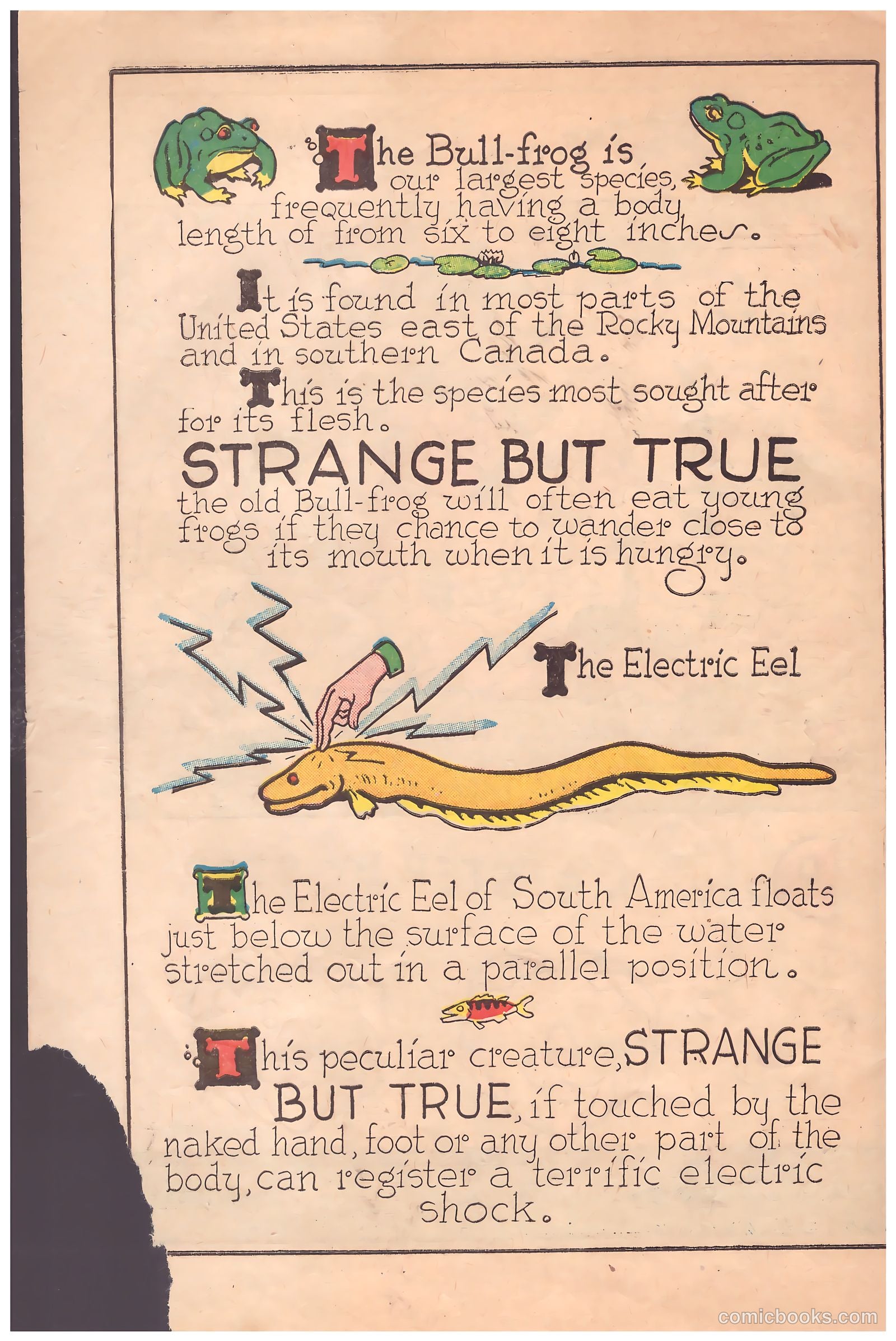 Circus of Fun Comics #1 — page 34 of 36