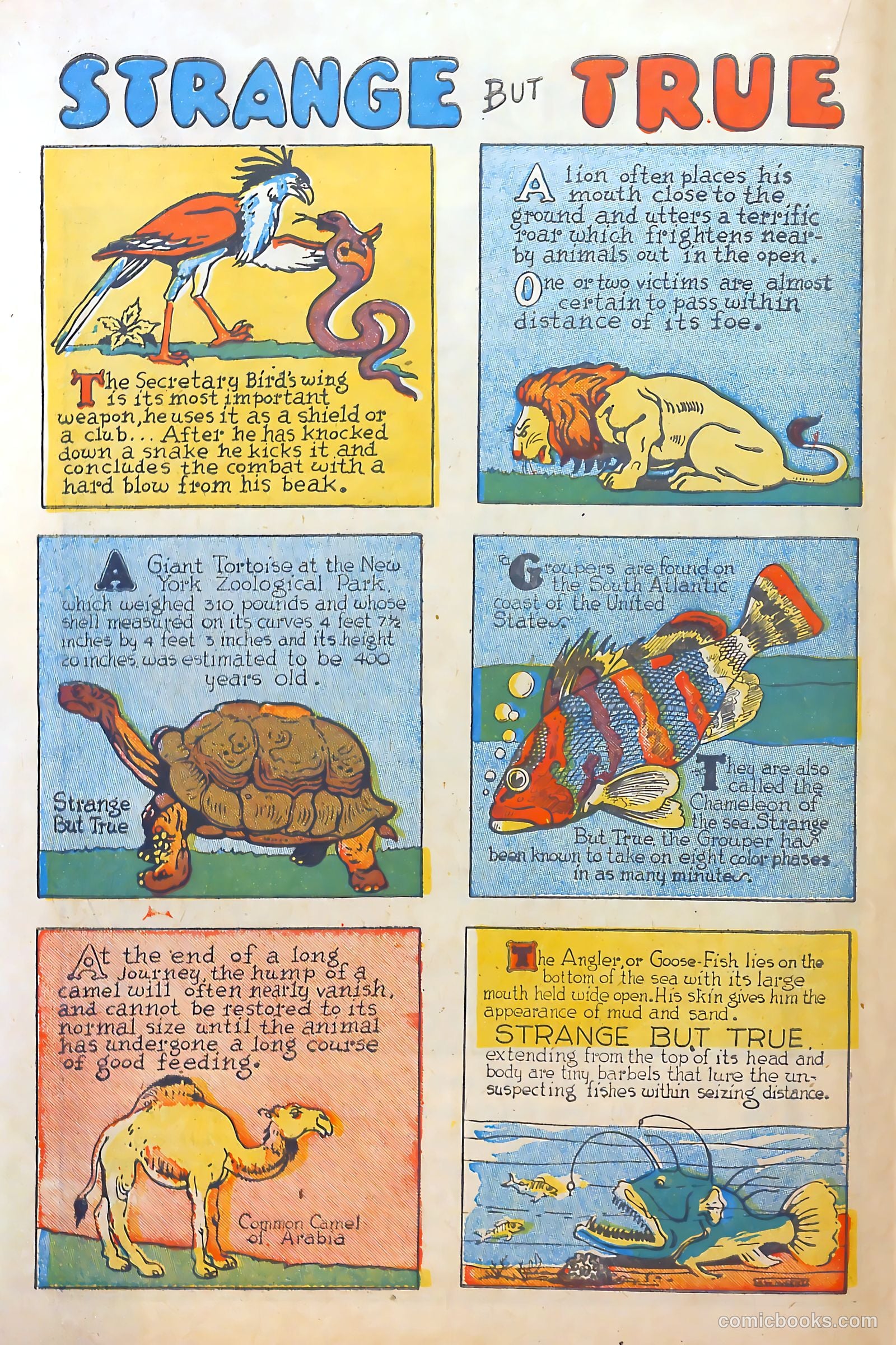 Circus of Fun Comics #2 — page 18 of 36