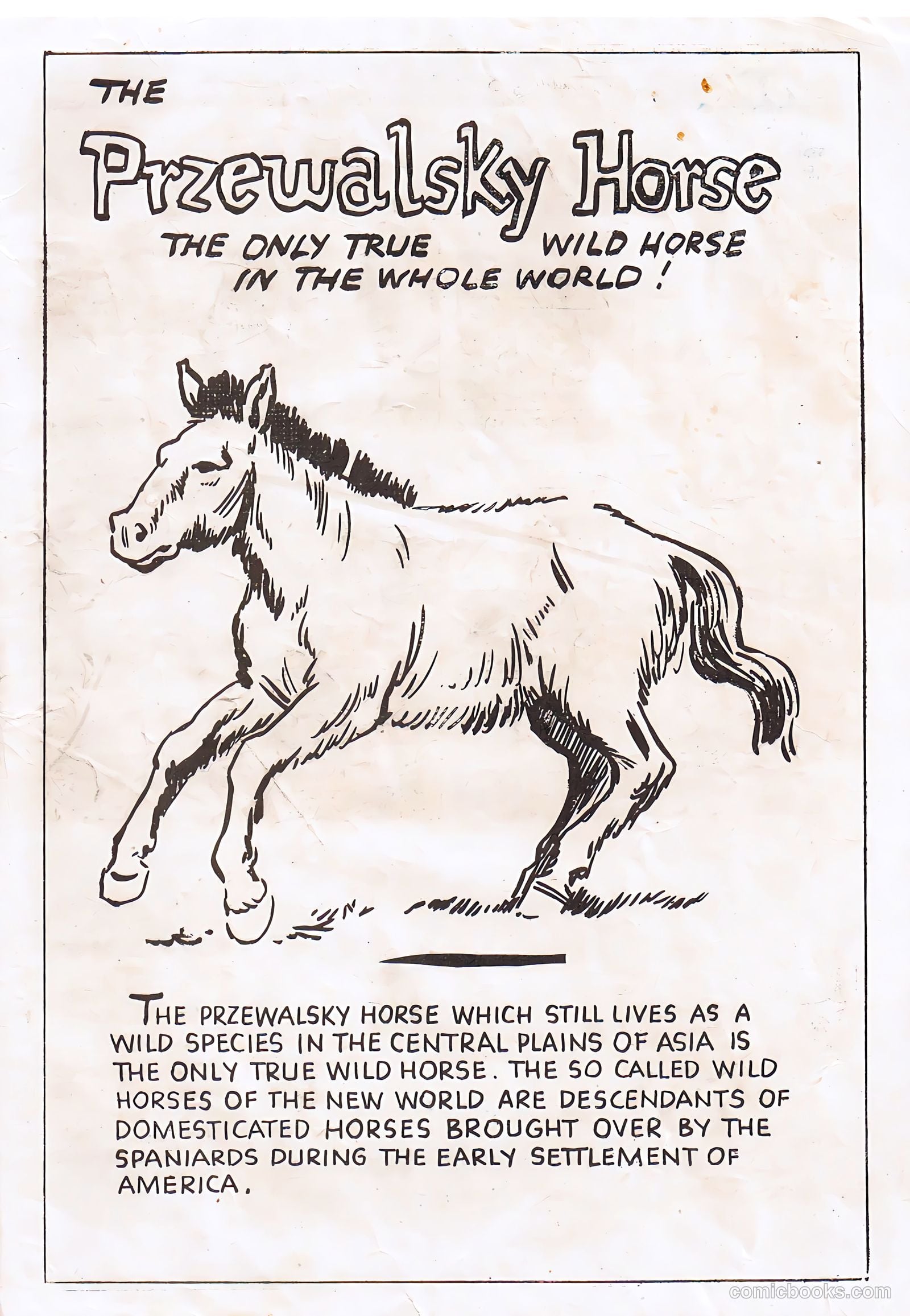 Colorado Kid #58 — page 27 of 28