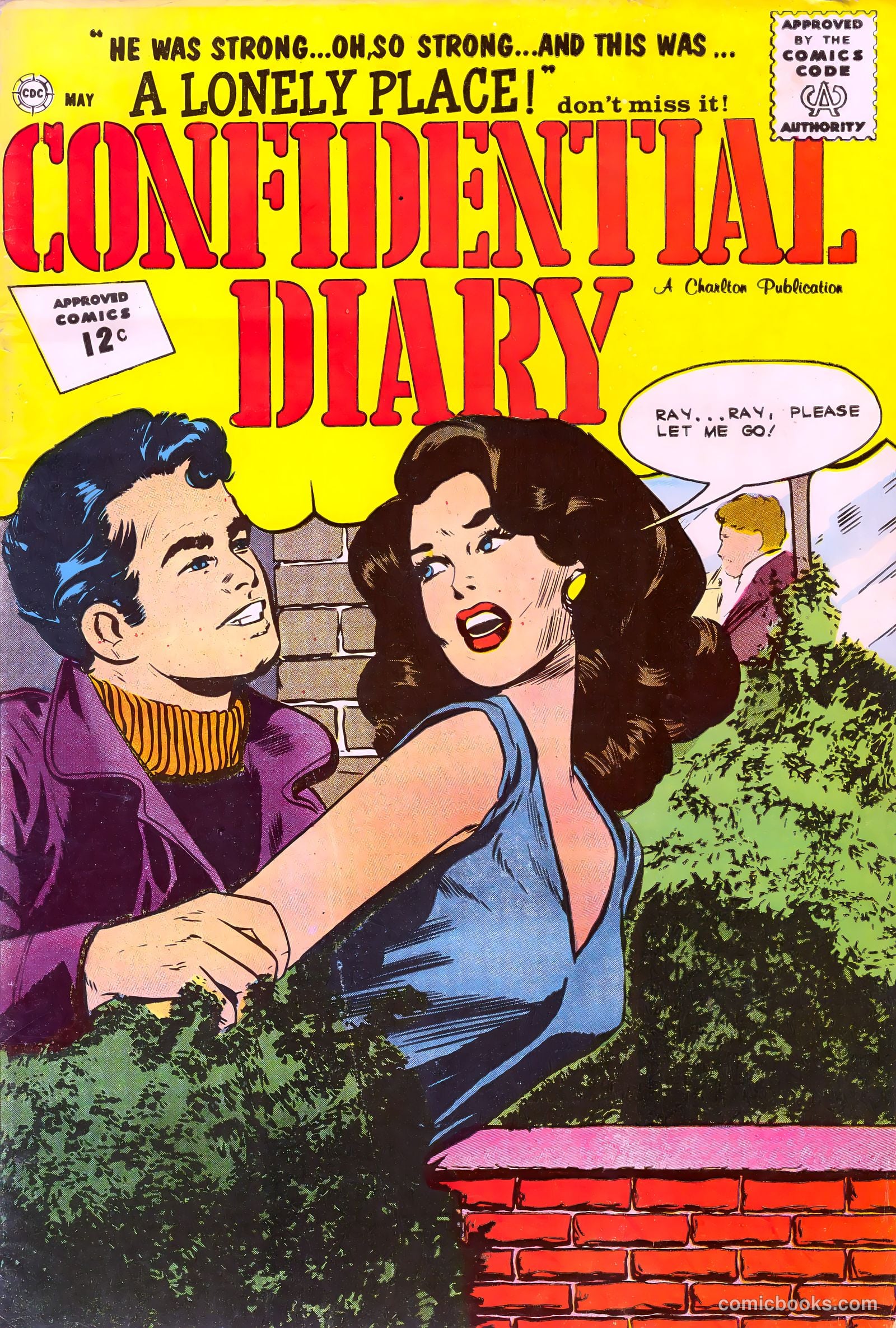 Confidential Diary #12 — page 1 of 36