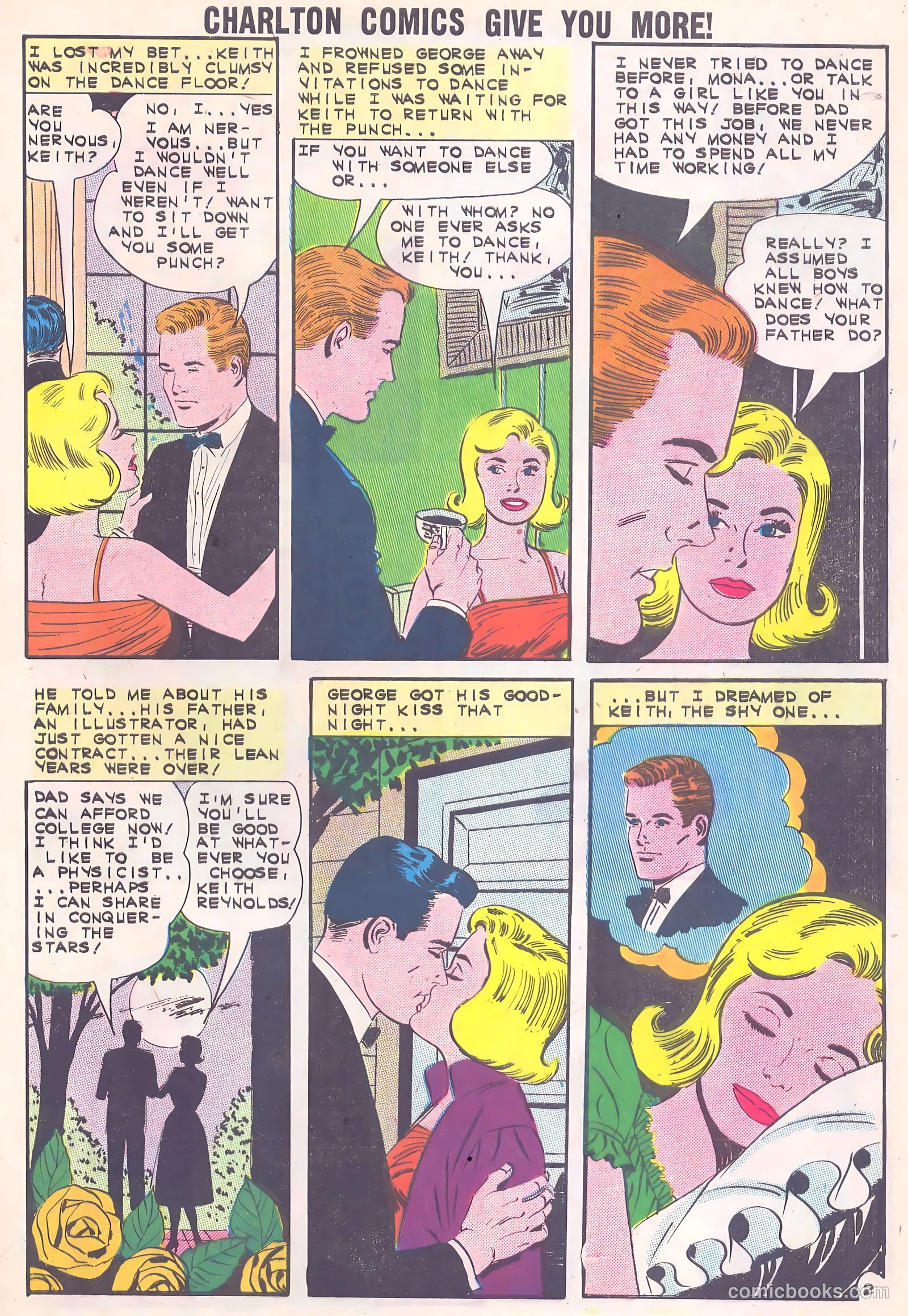 Confidential Diary #12 — page 29 of 36