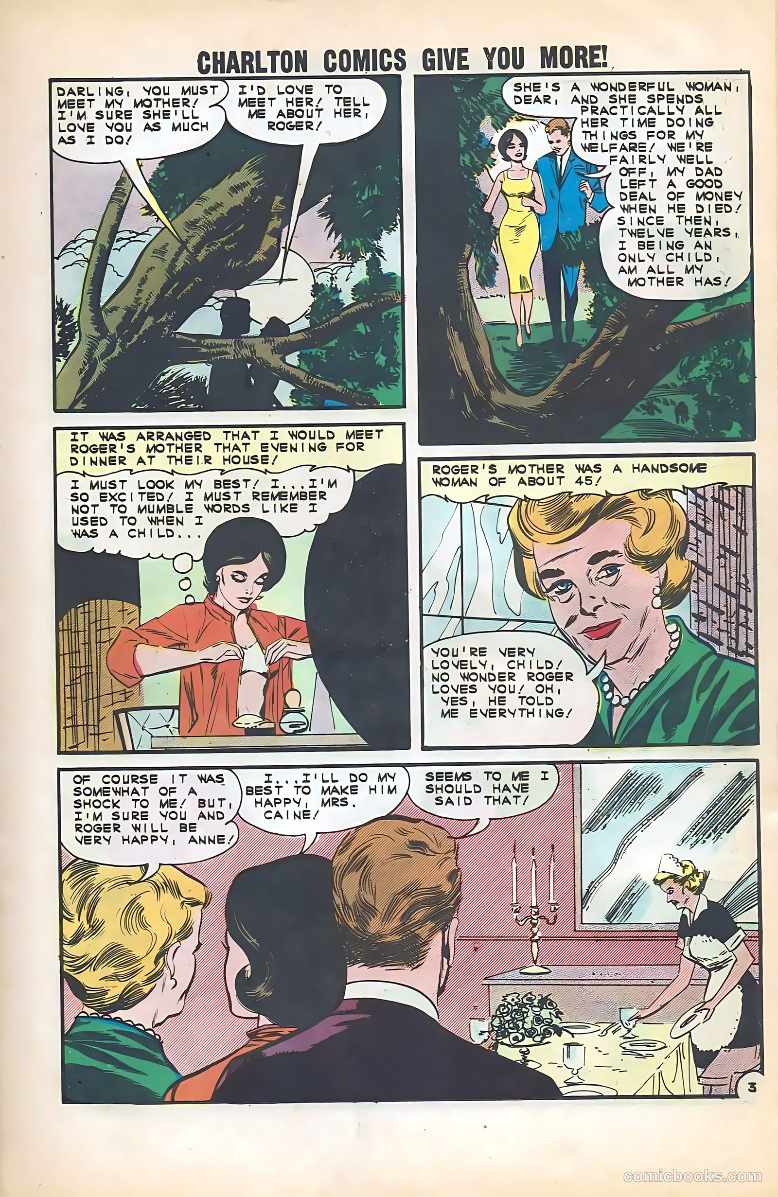 Confidential Diary #15 — page 11 of 36