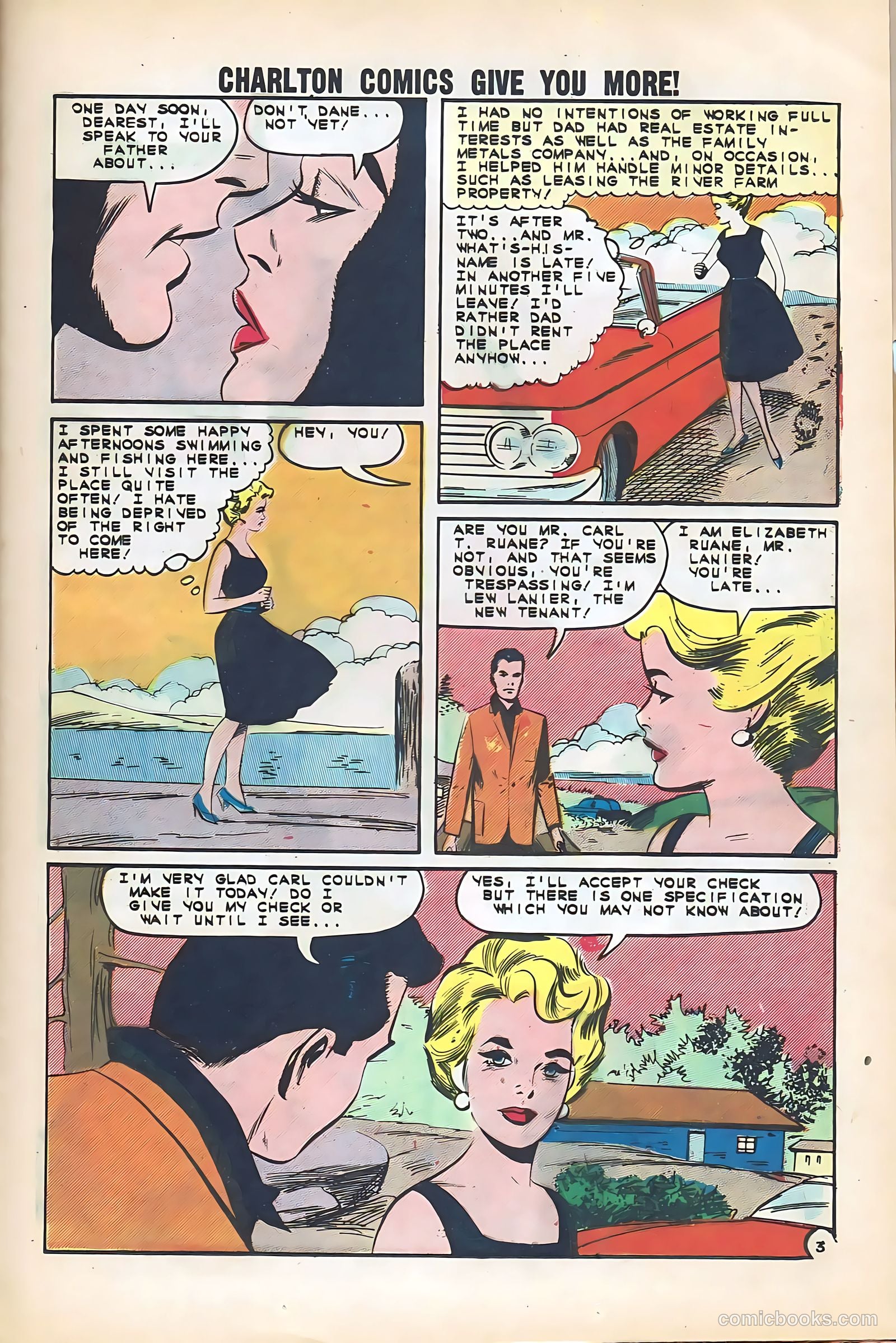 Confidential Diary #15 — page 25 of 36