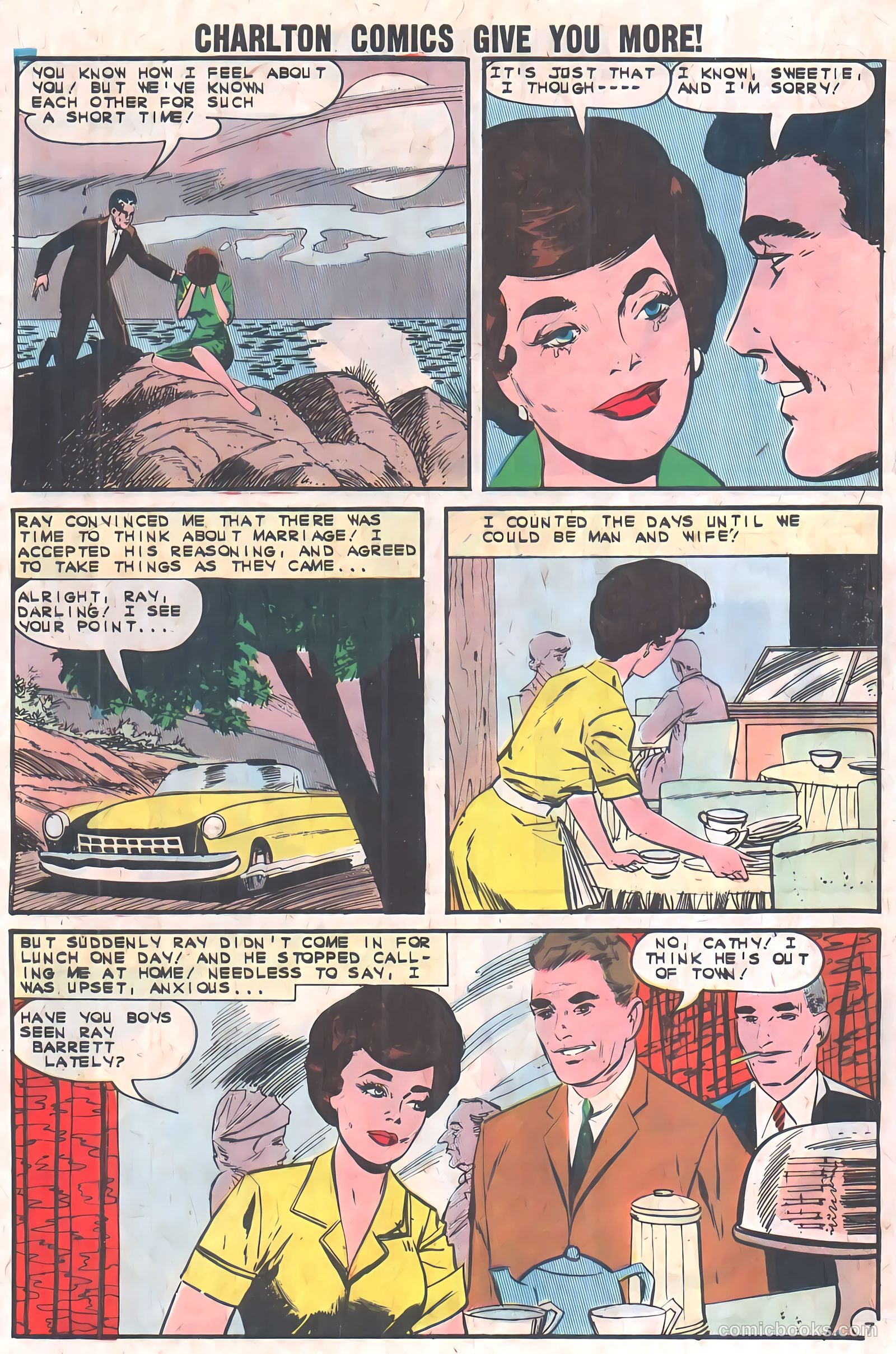 Confidential Diary #17 — page 29 of 36