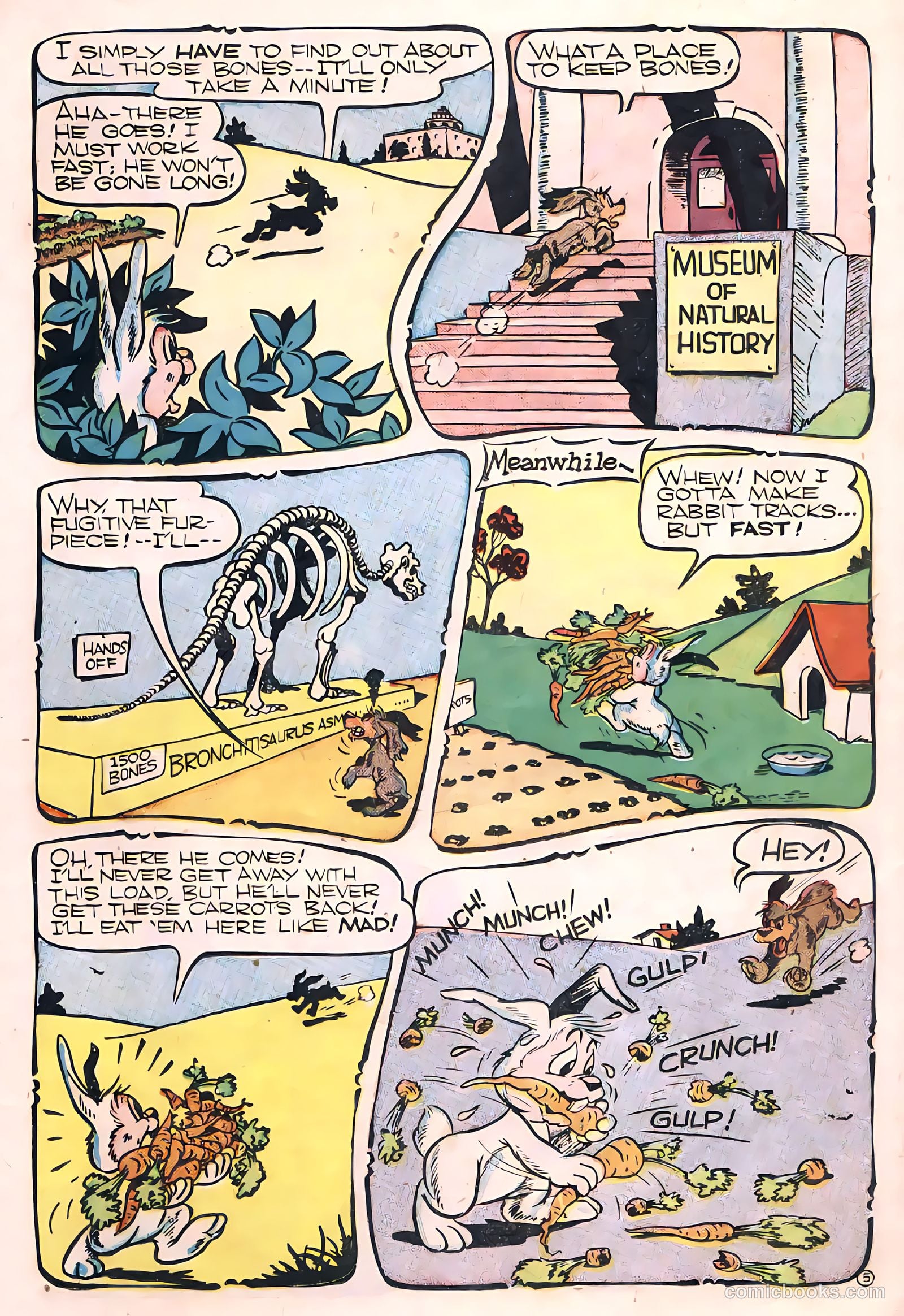 Coo Coo Comics #34 — page 31 of 52