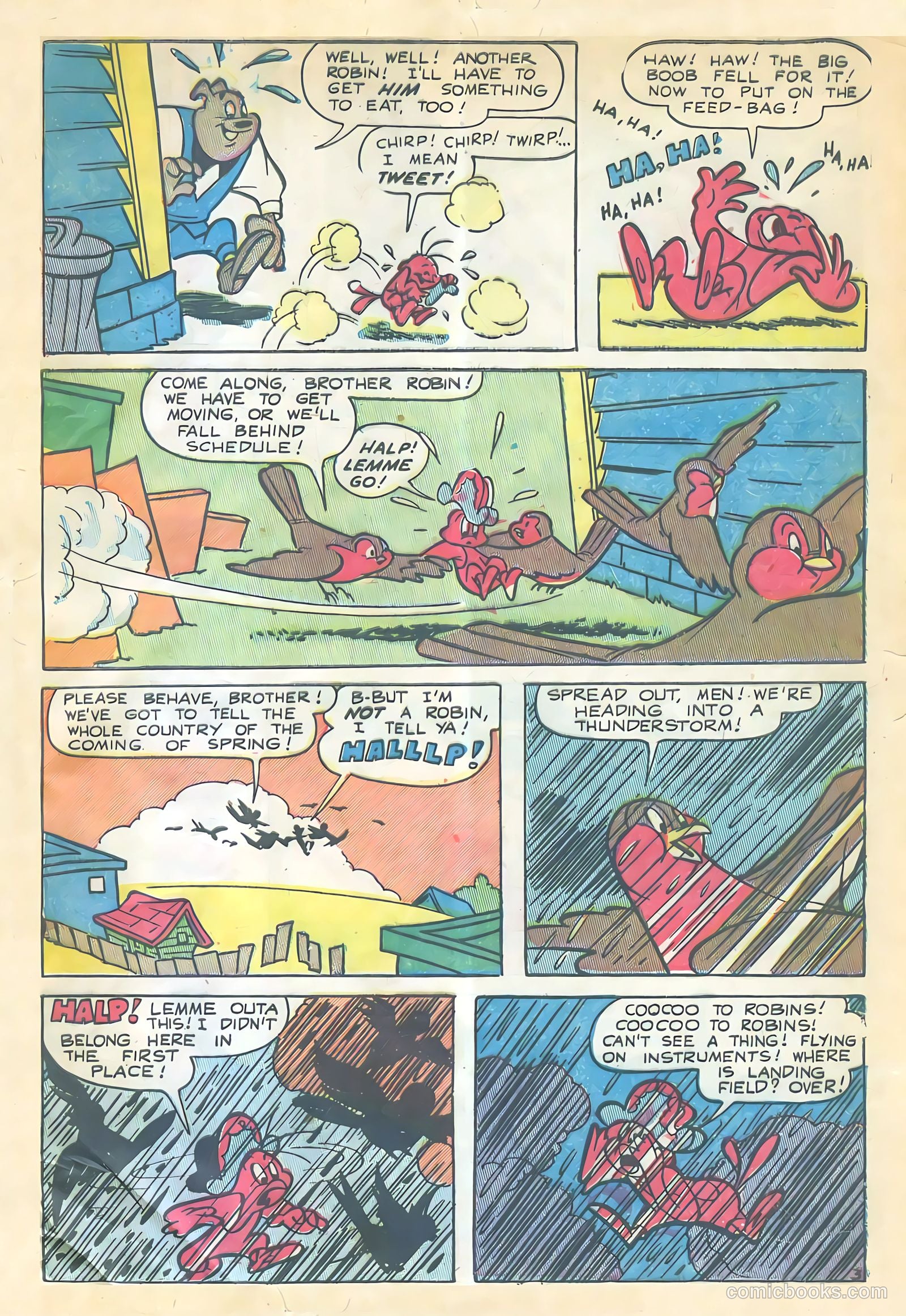 Coo Coo, the Bird Brain #57 — page 5 of 36