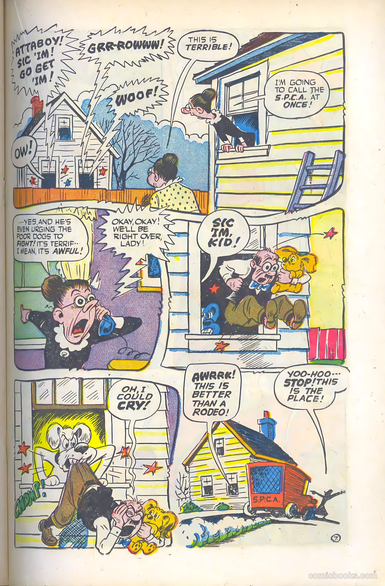 Cookie #12 — page 29 of 52