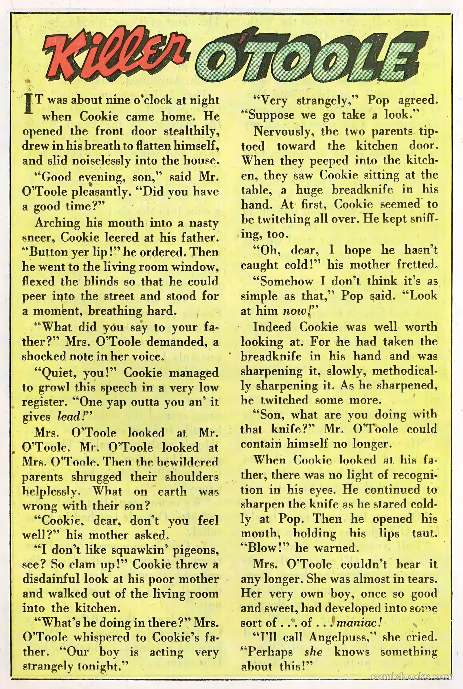 Cookie #13 — page 23 of 52