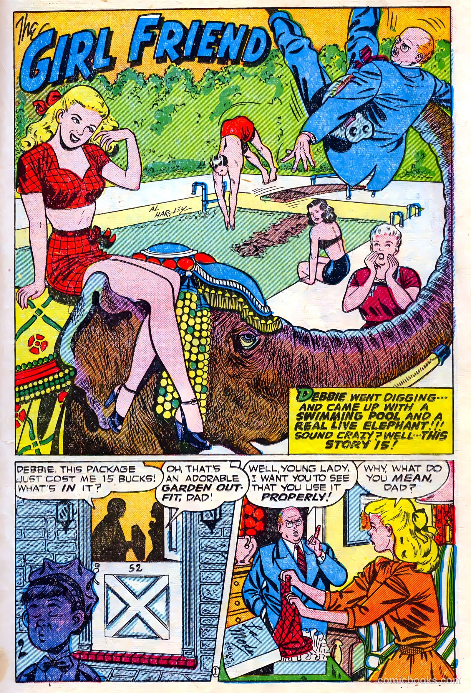 Cookie #15 — page 17 of 52