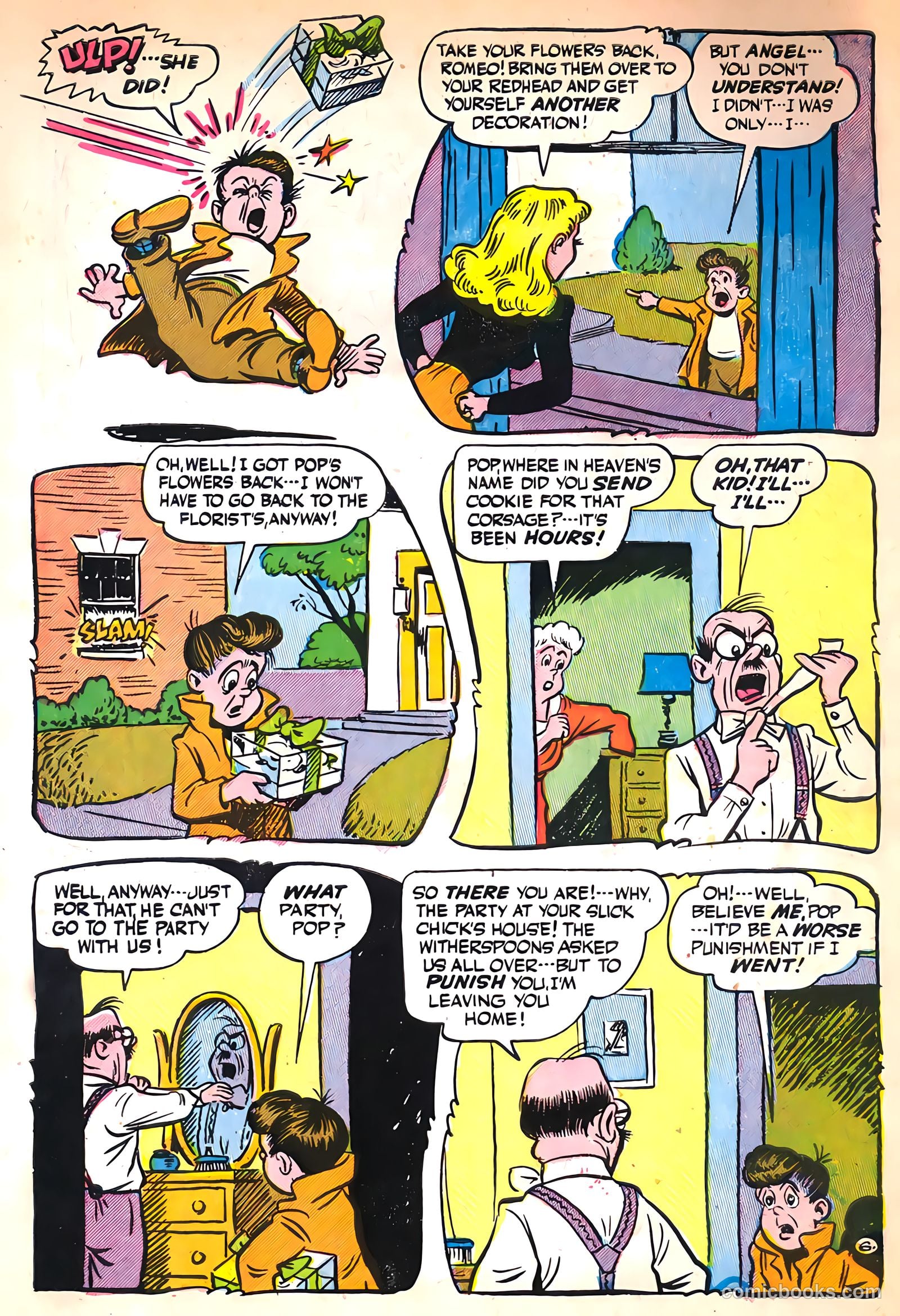 Cookie #16 — page 8 of 52