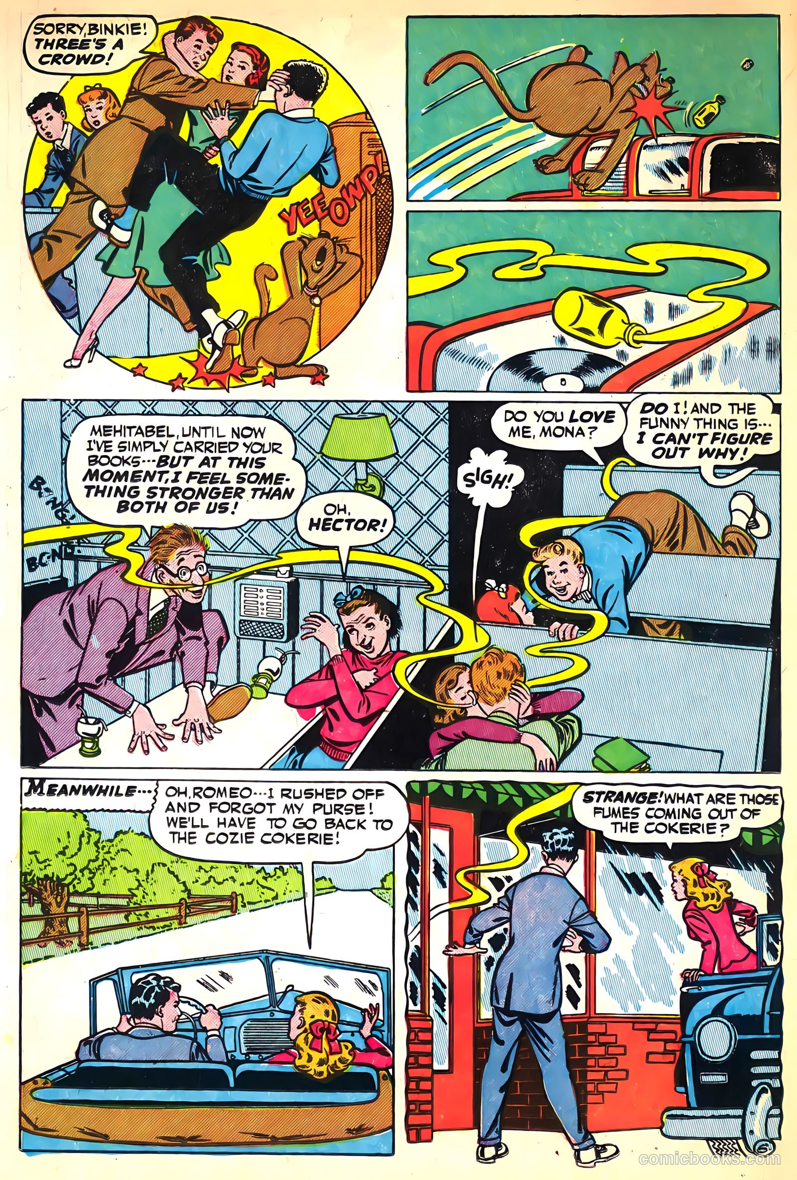 Cookie #16 — page 20 of 52