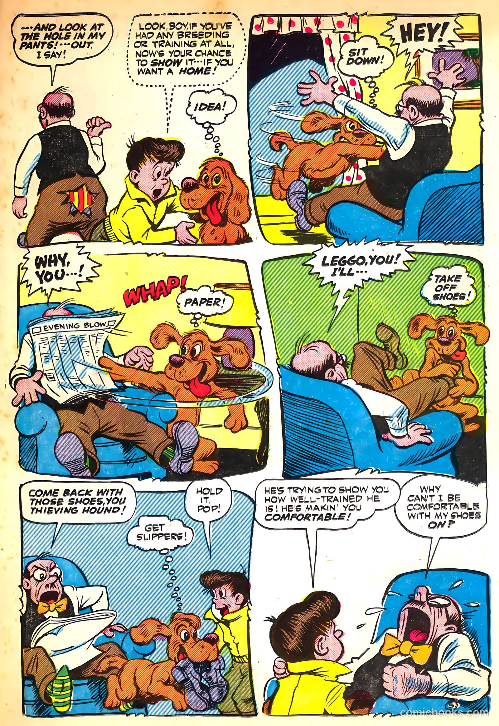 Cookie #16 — page 27 of 52