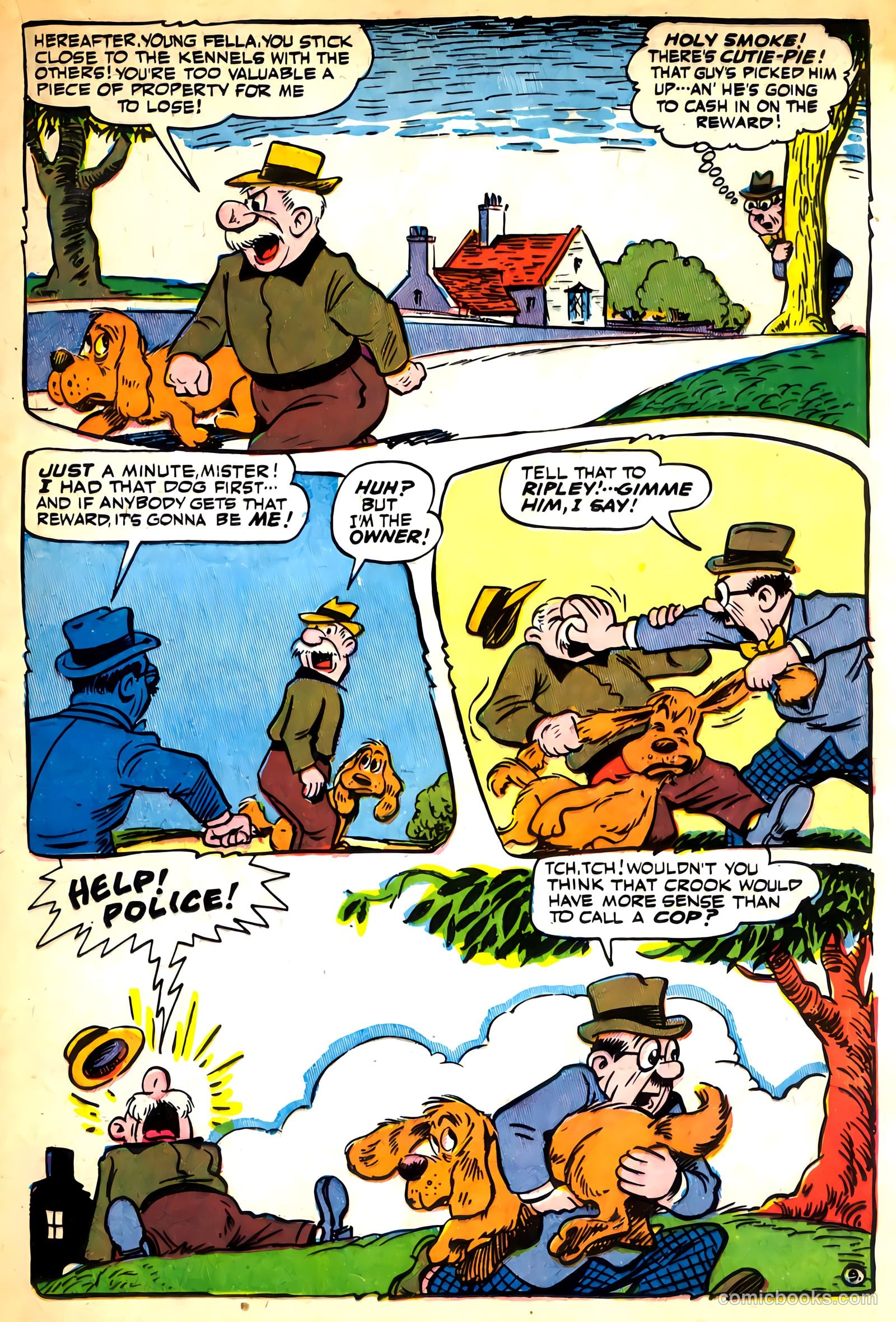 Cookie #16 — page 31 of 52
