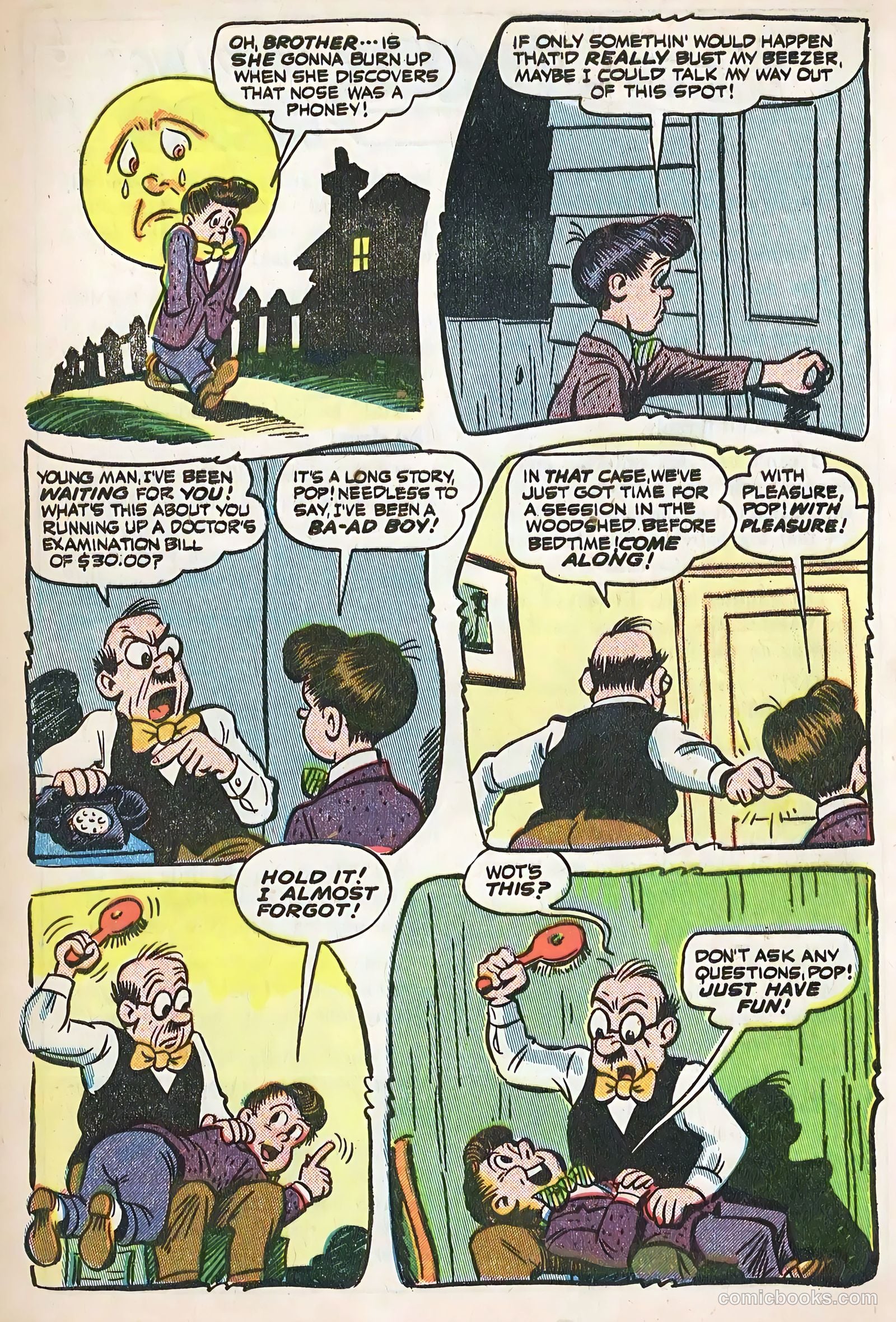 Cookie #17 — page 13 of 52