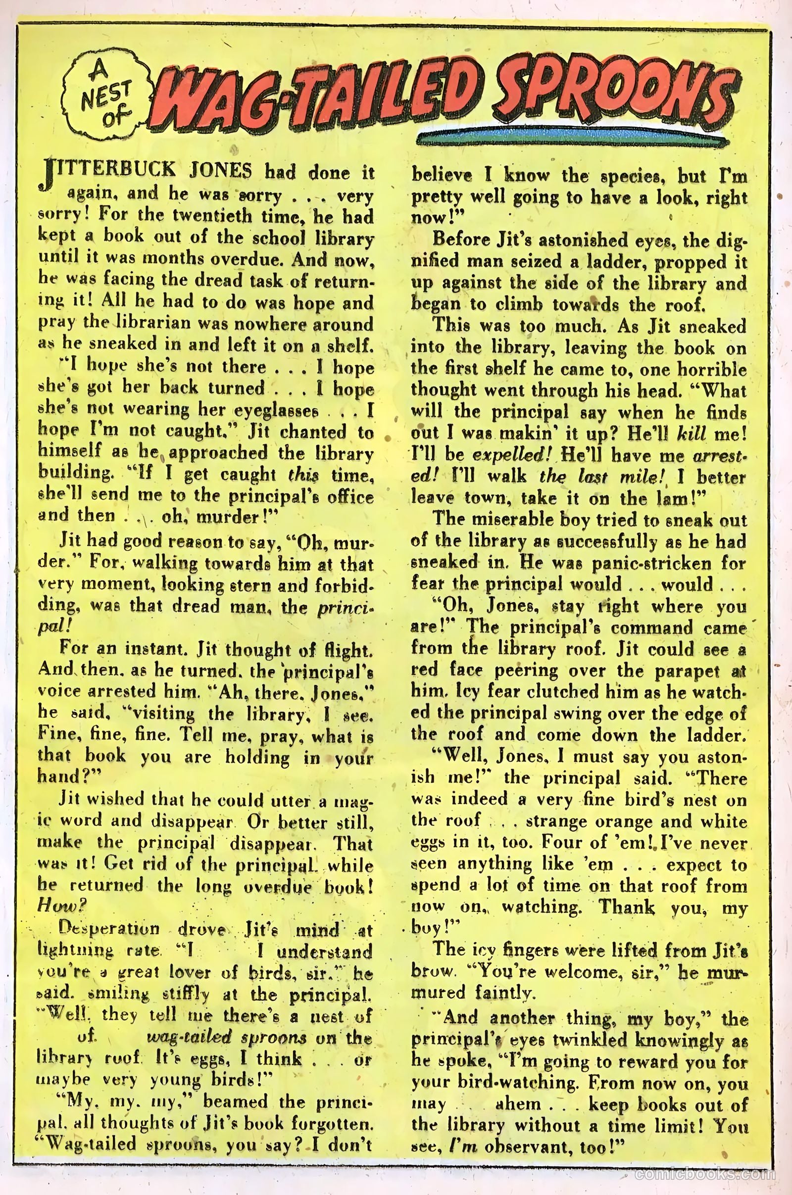Cookie #20 — page 16 of 52