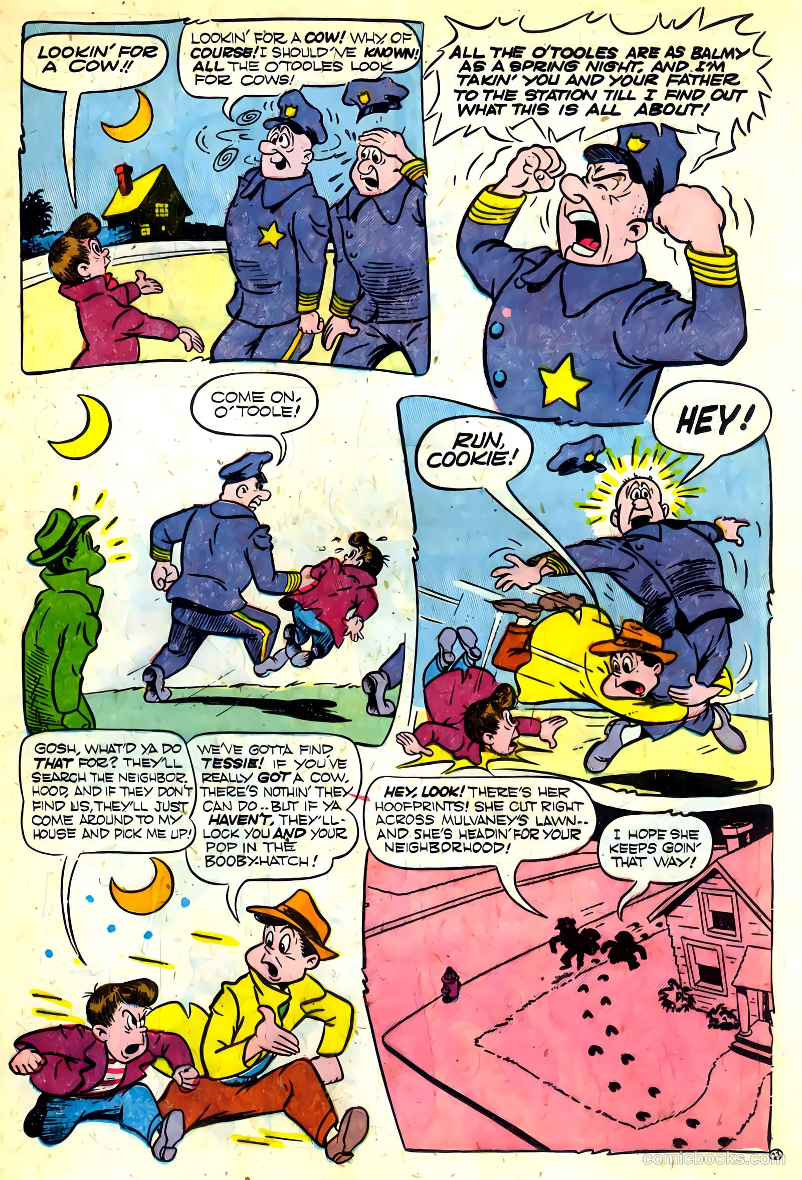 Cookie #21 — page 37 of 52