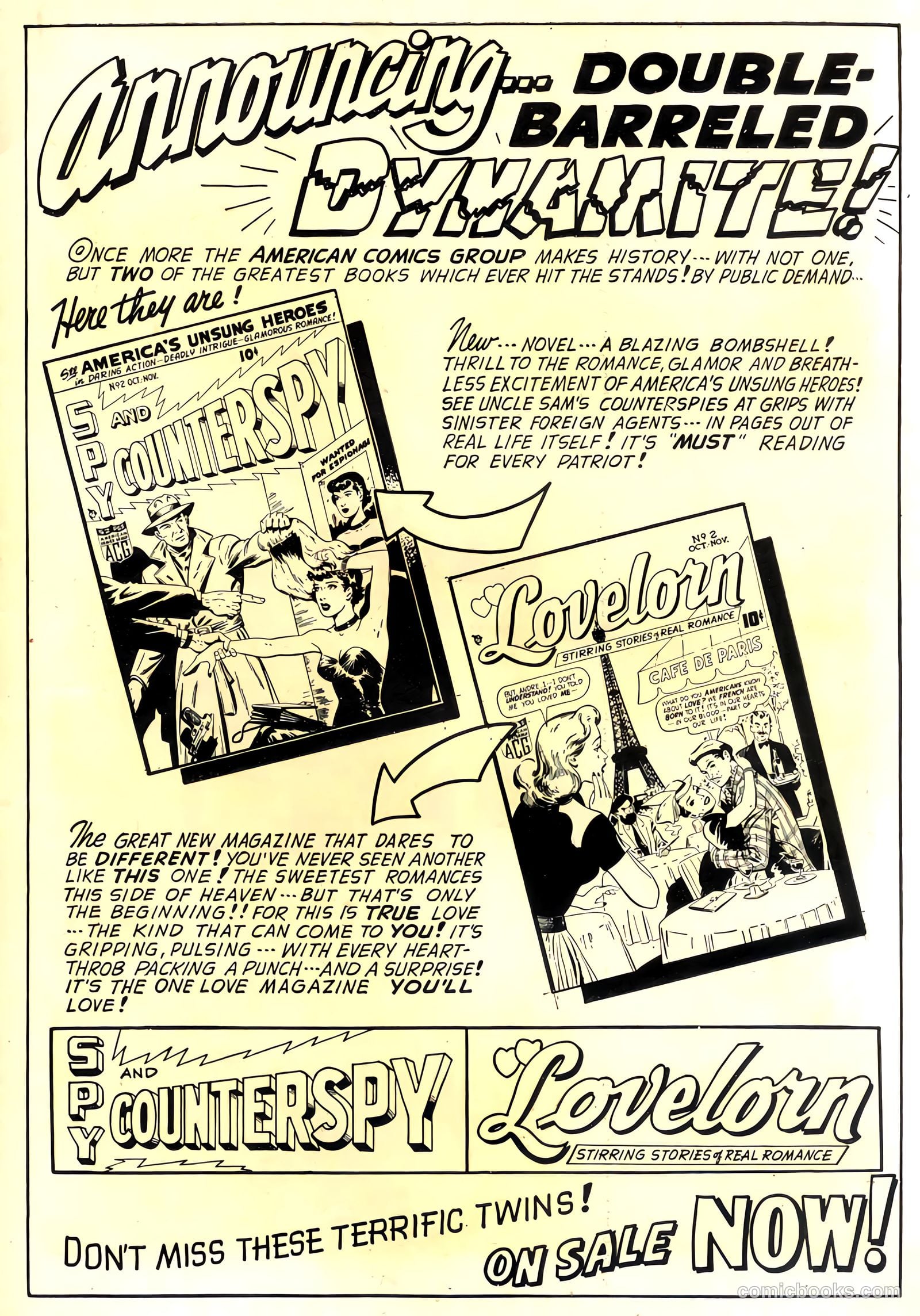 Cookie #21 — page 51 of 52