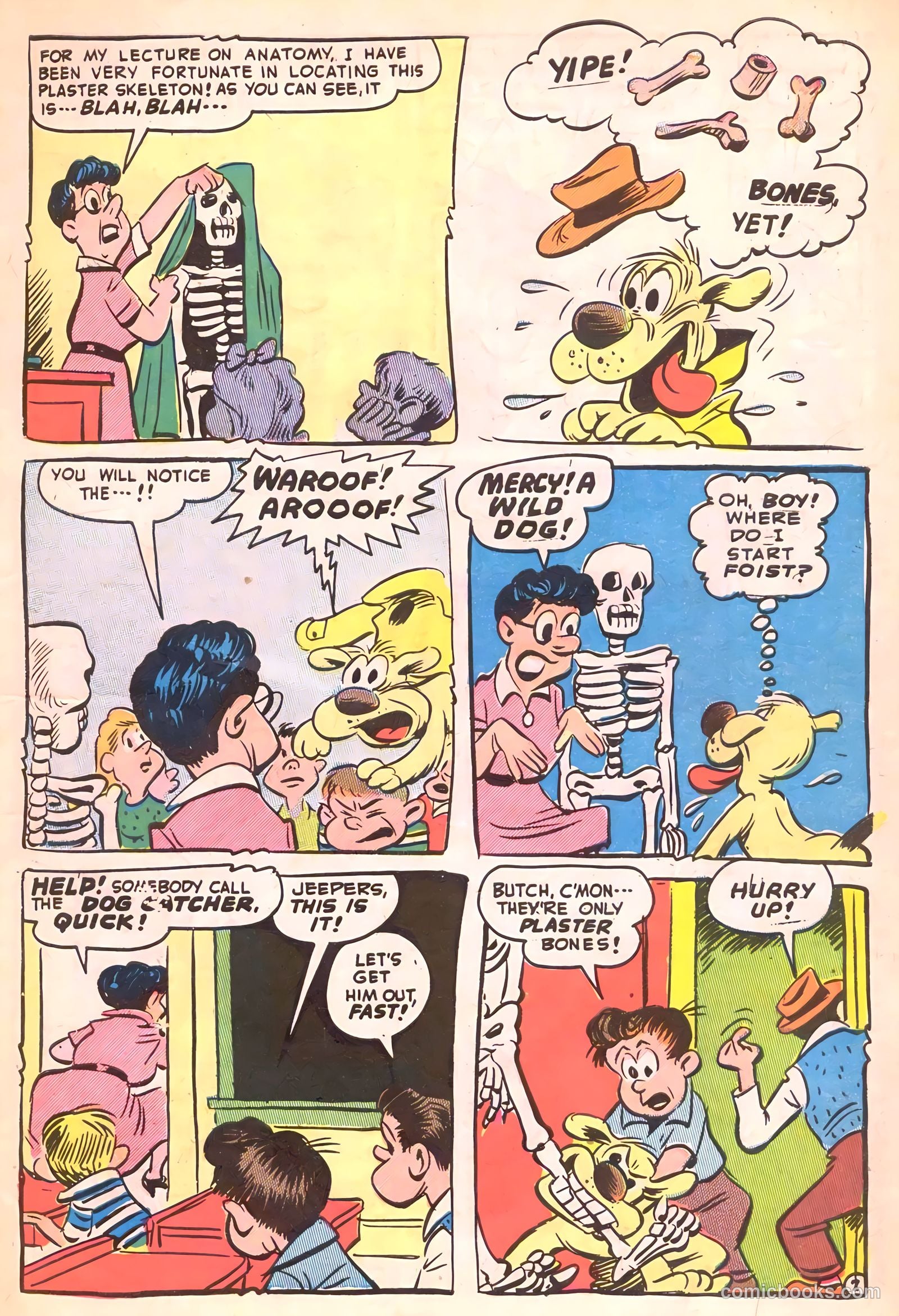 Cookie #22 — page 9 of 52