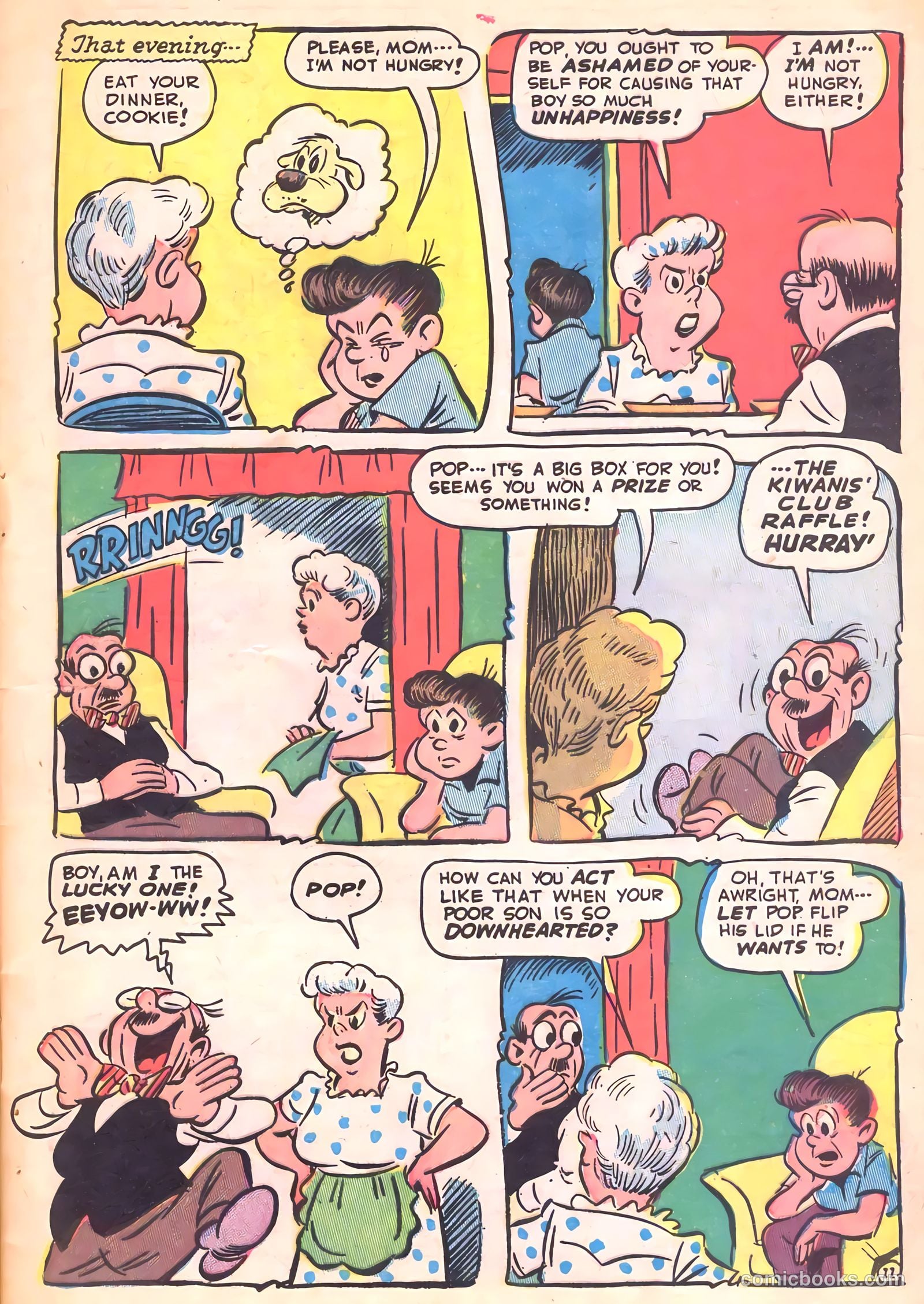 Cookie #22 — page 13 of 52