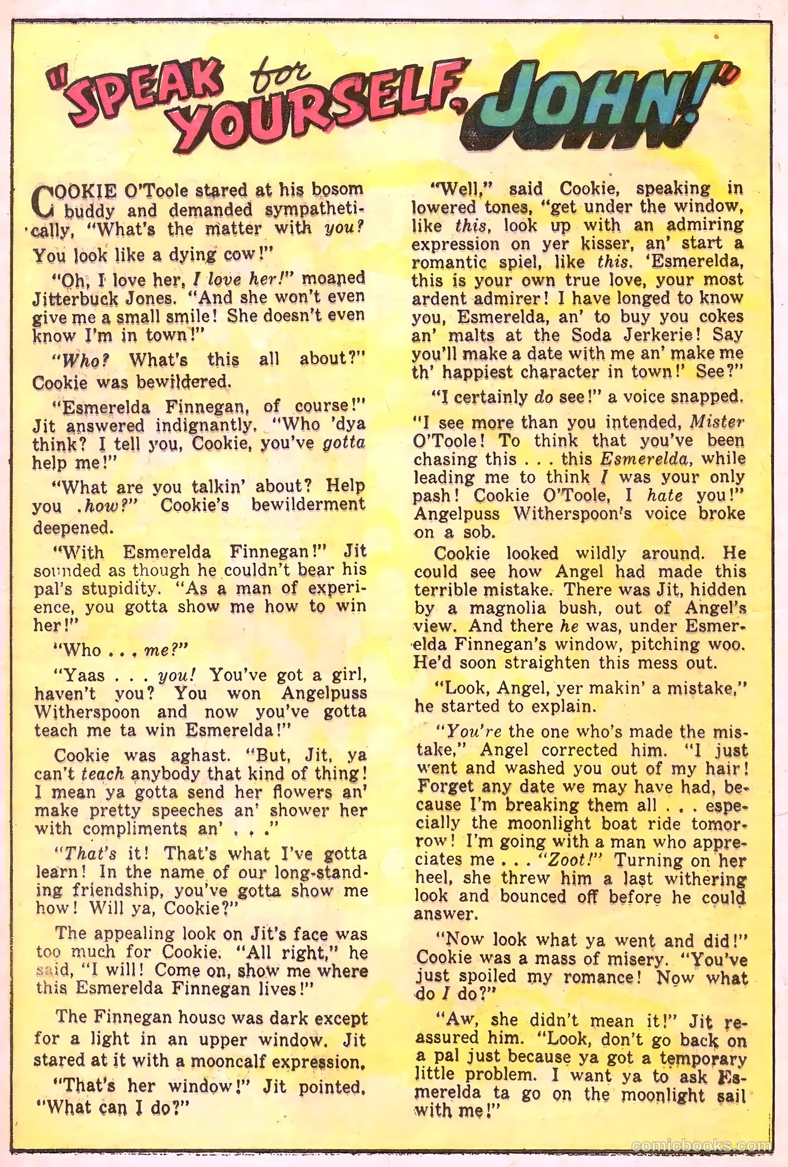 Cookie #22 — page 28 of 52