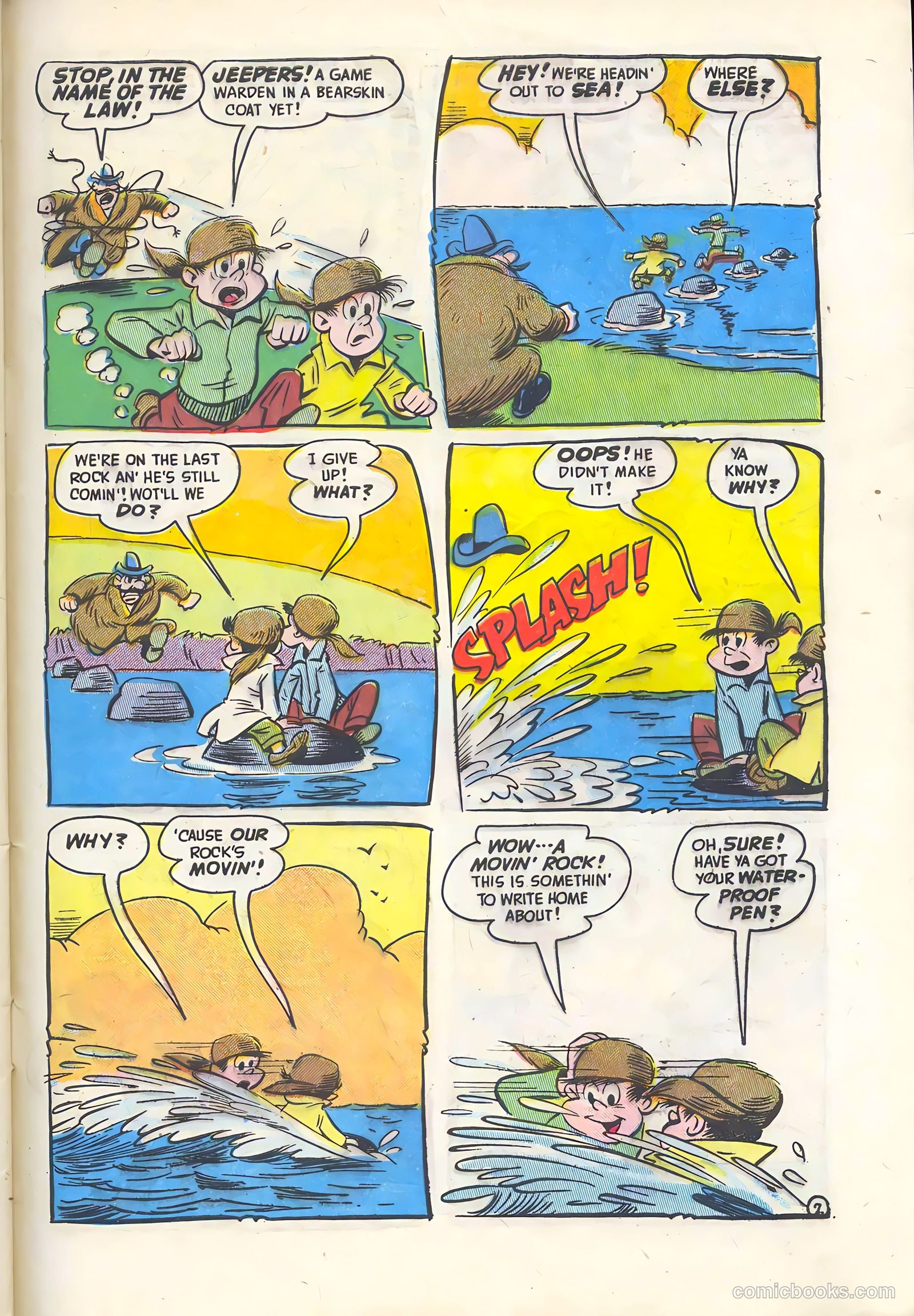 Cookie #28 — page 43 of 52