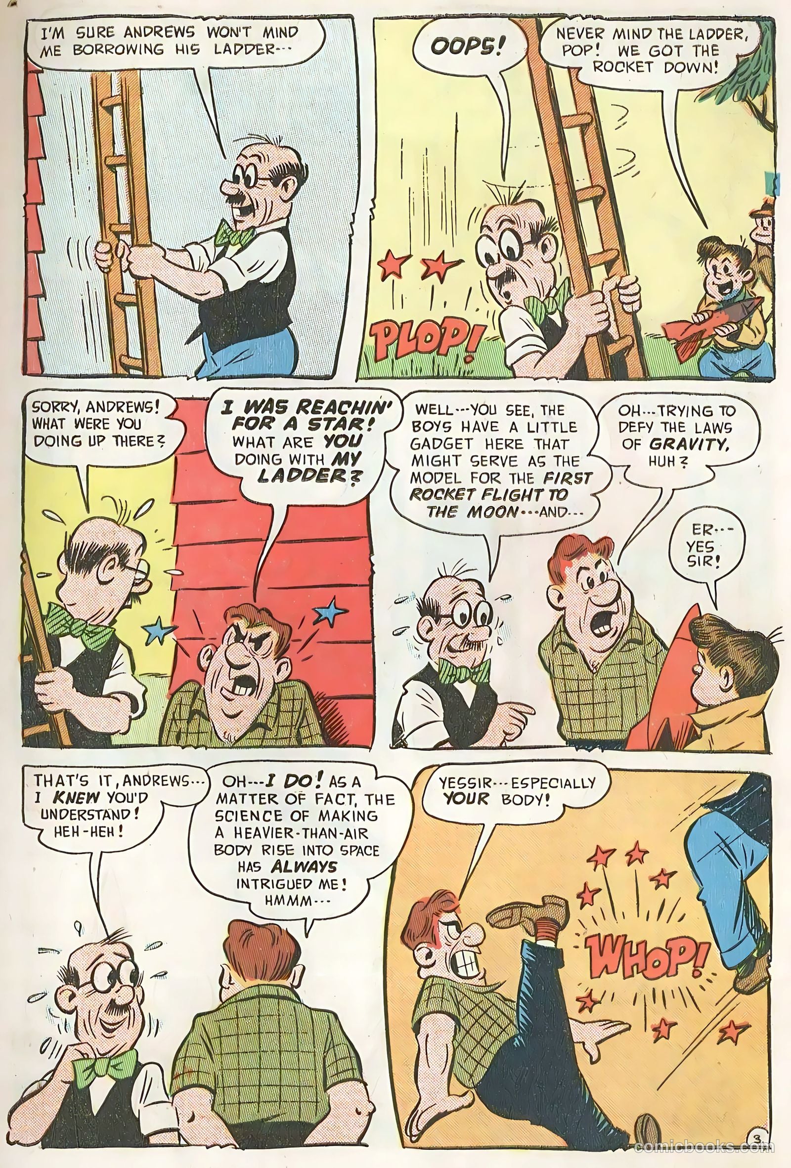 Cookie #29 — page 6 of 53