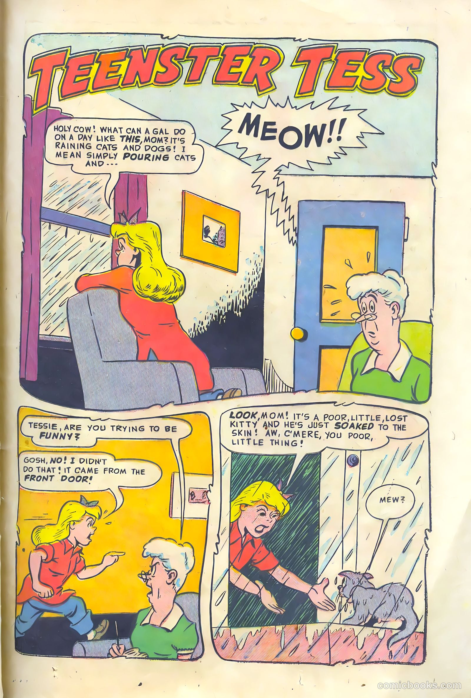 Cookie #38 — page 25 of 36