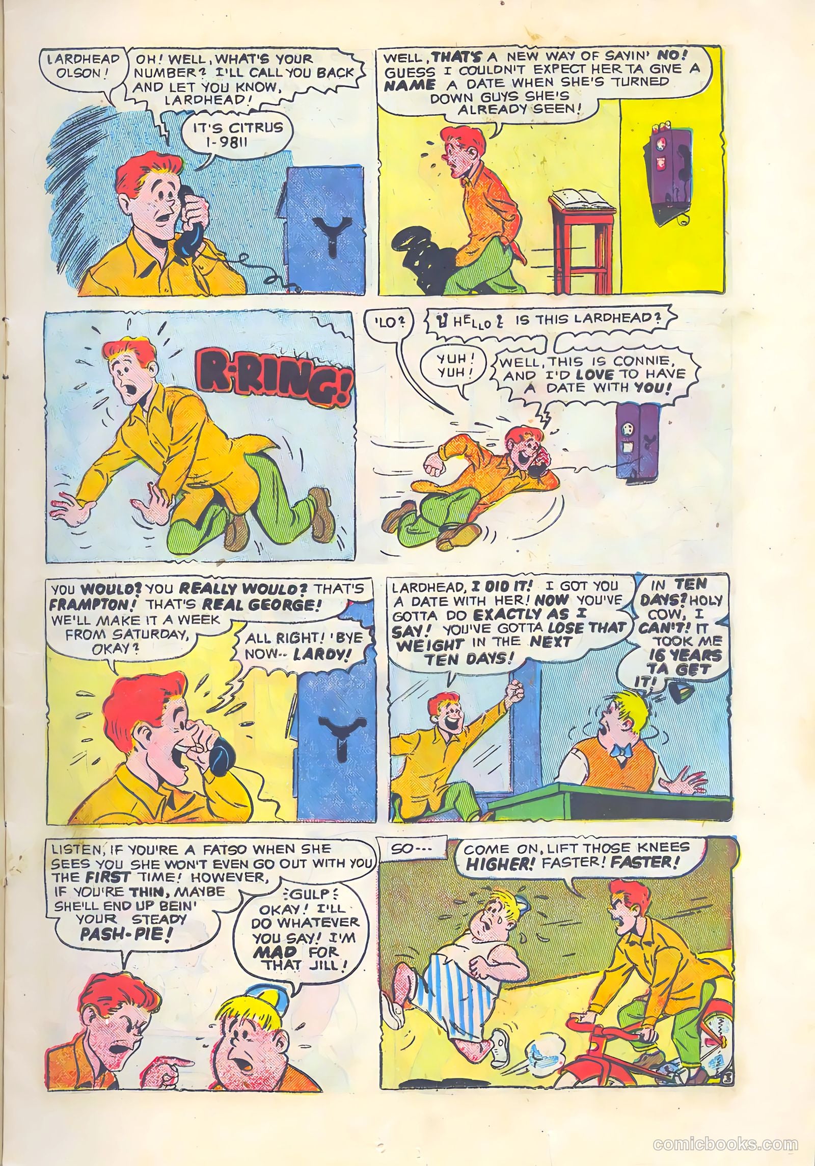 Cookie #39 — page 13 of 36