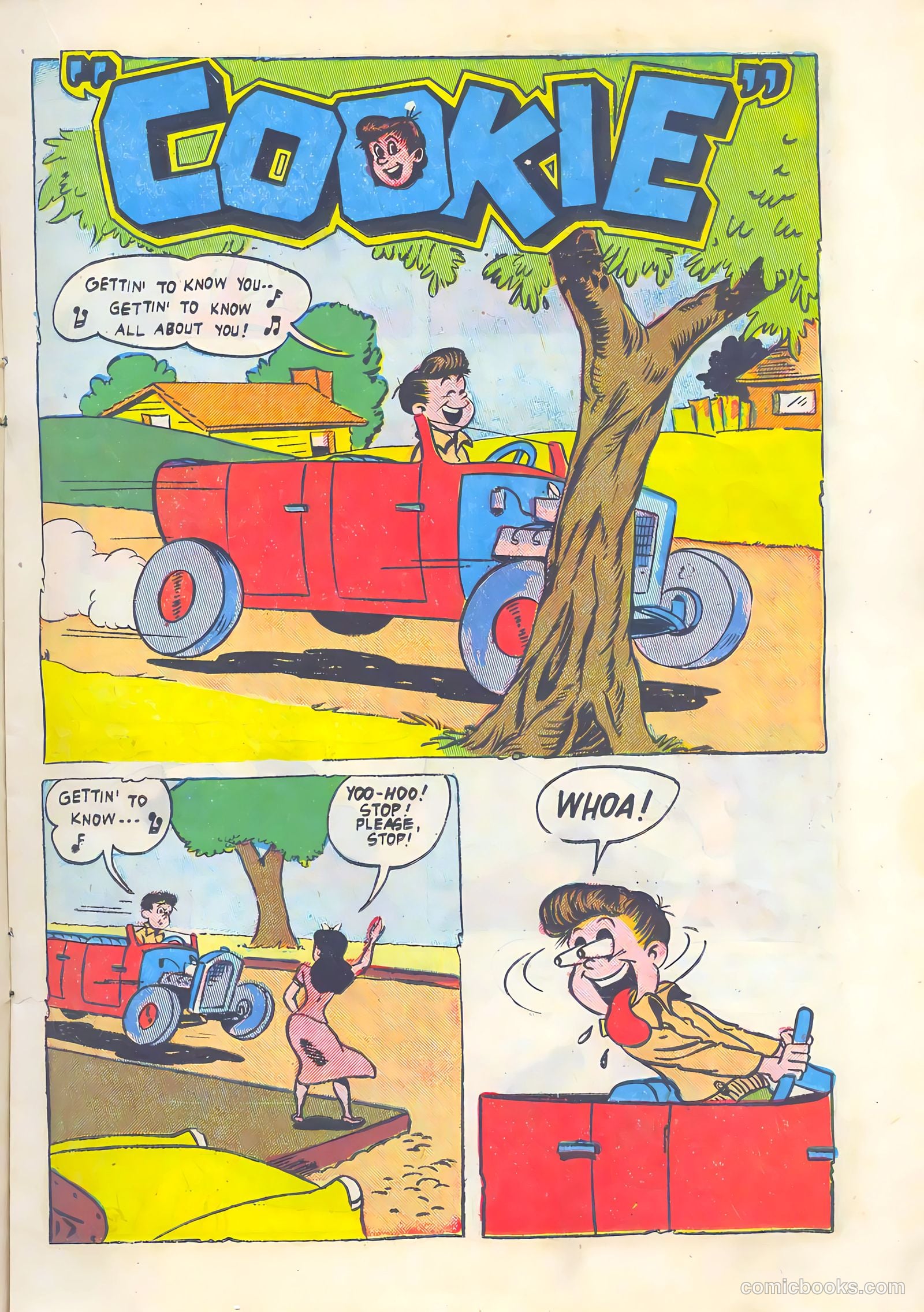Cookie #39 — page 17 of 36
