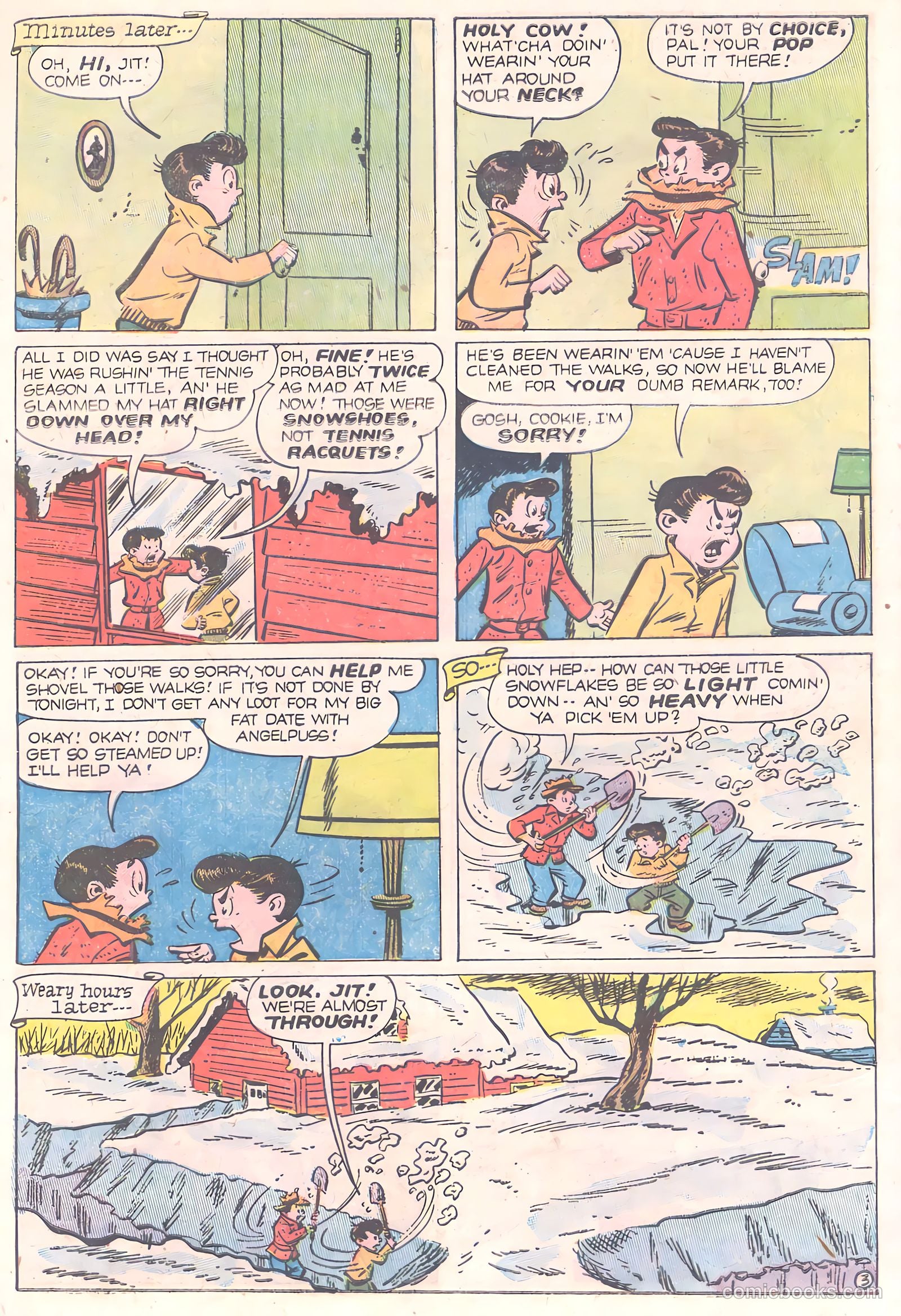 Cookie #42 — page 29 of 36