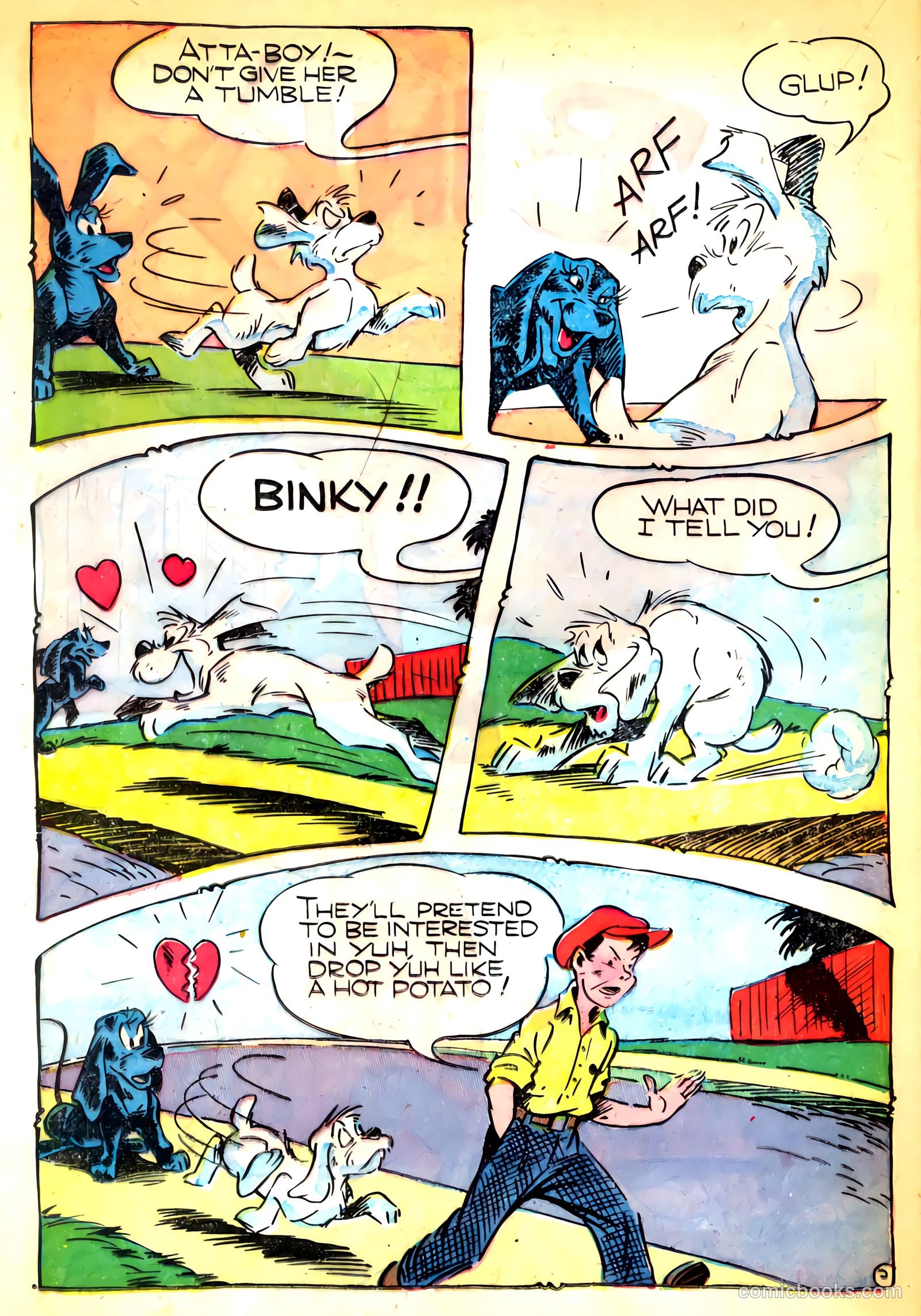 Cookie #43 — page 22 of 35