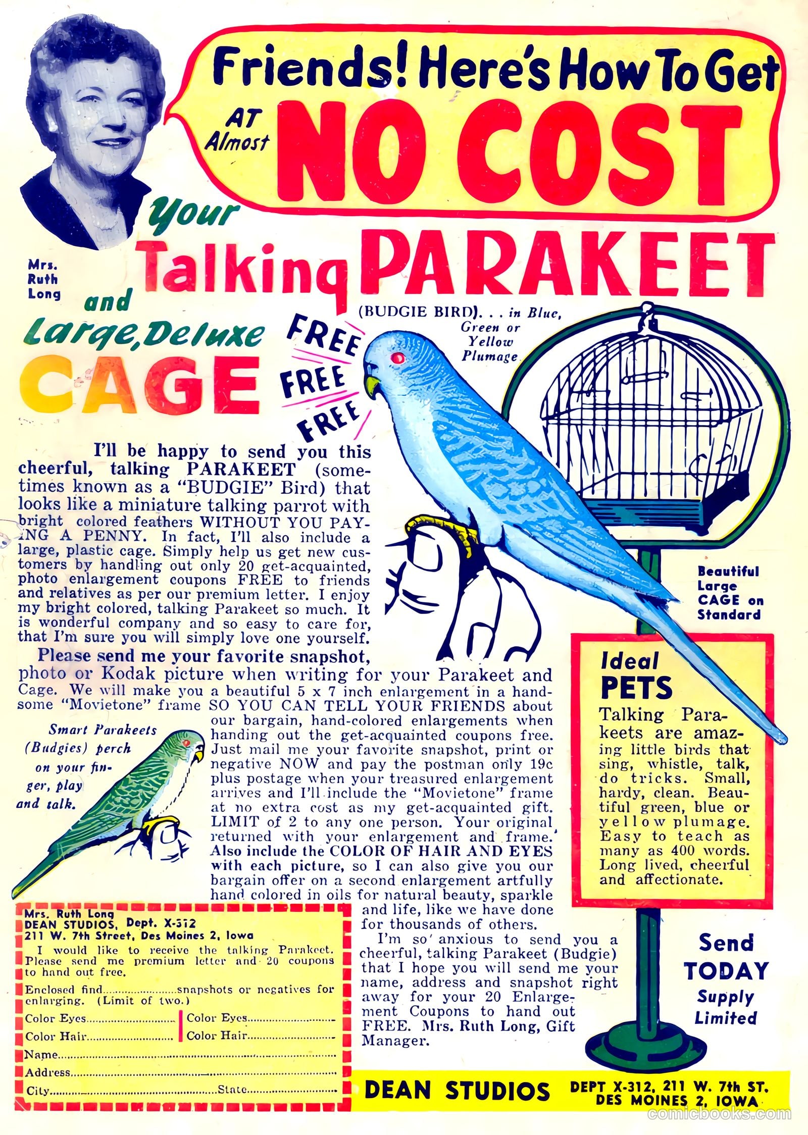 Cookie #46 — page 37 of 37