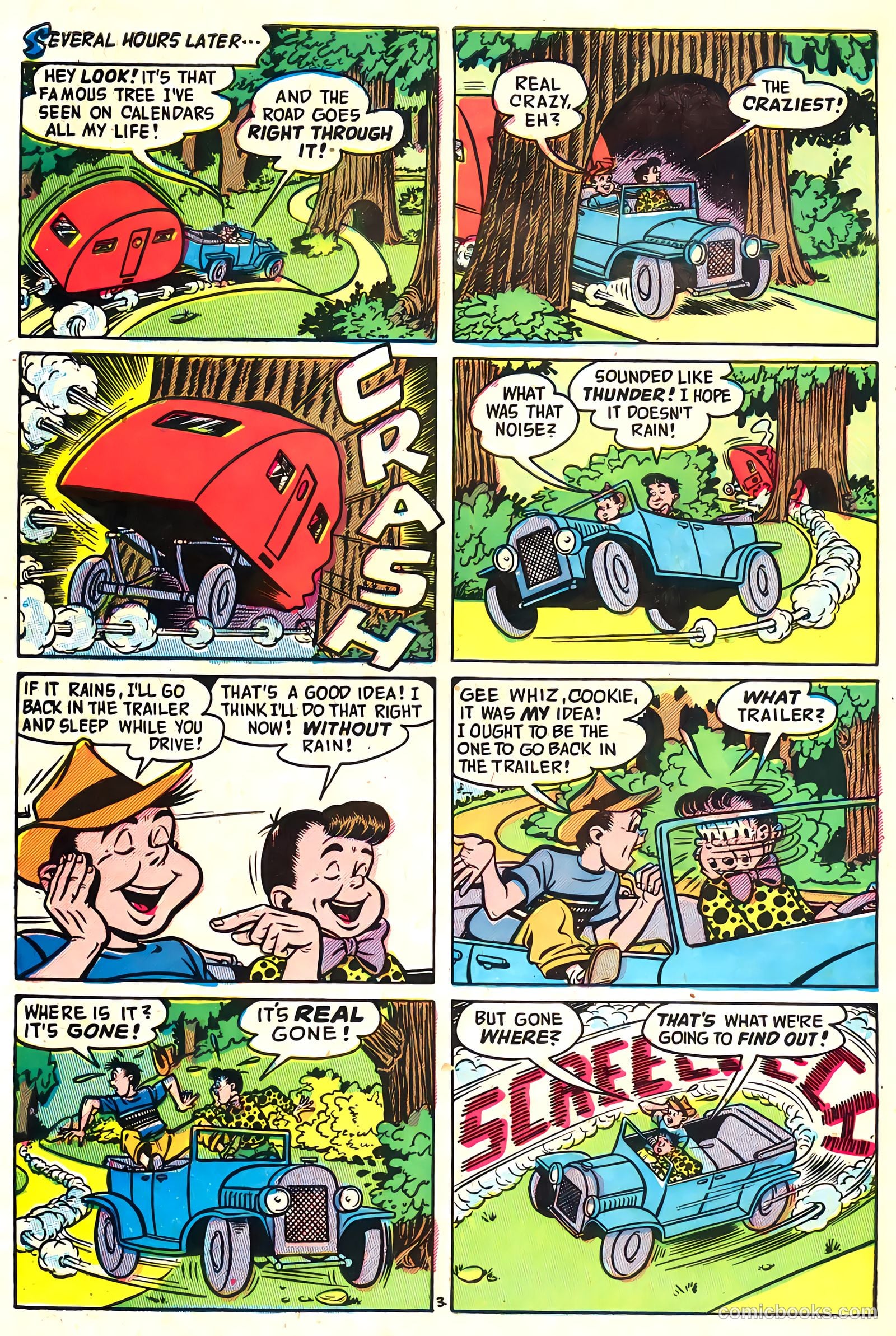 Cookie #48 — page 28 of 36