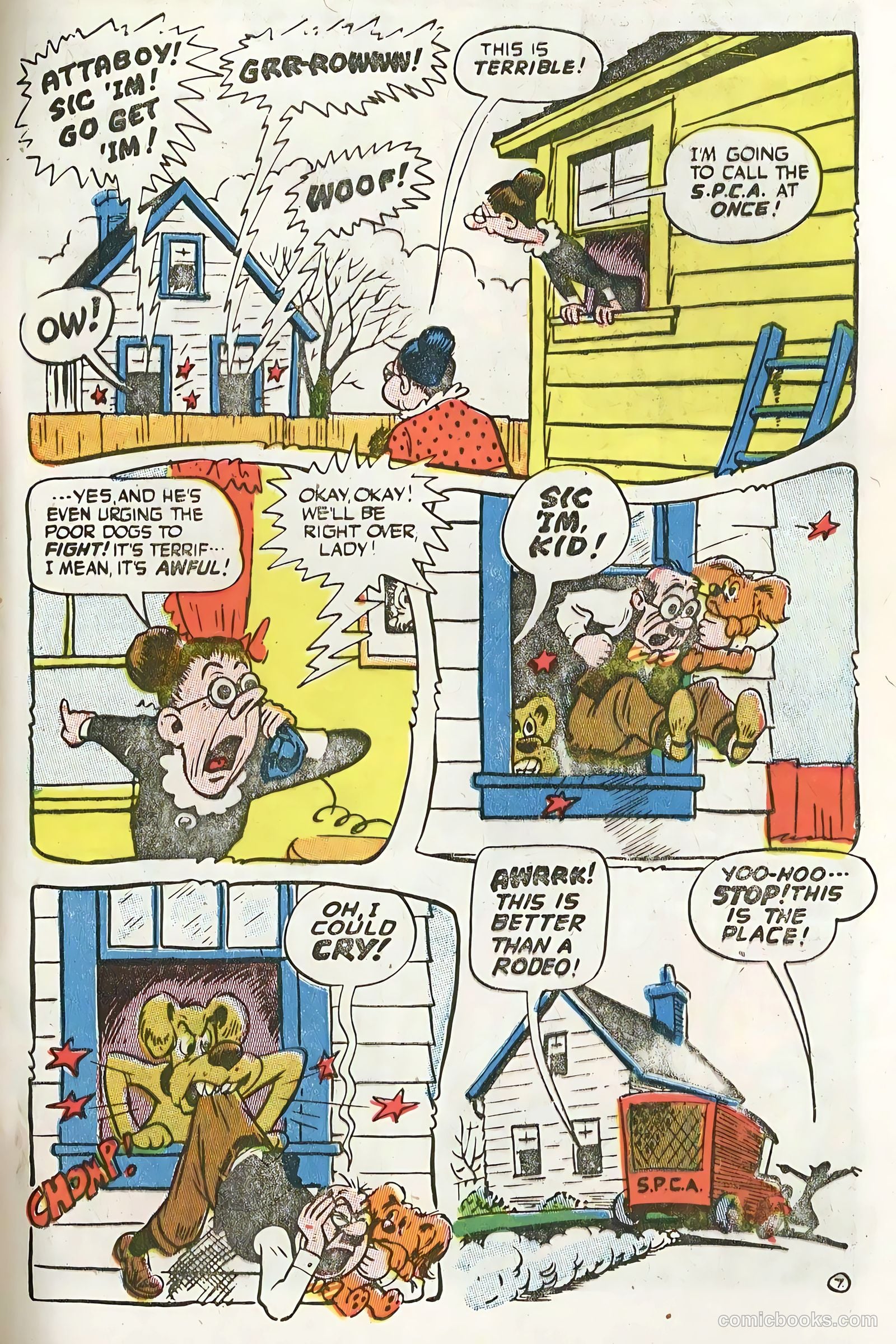Cookie #51 — page 29 of 36