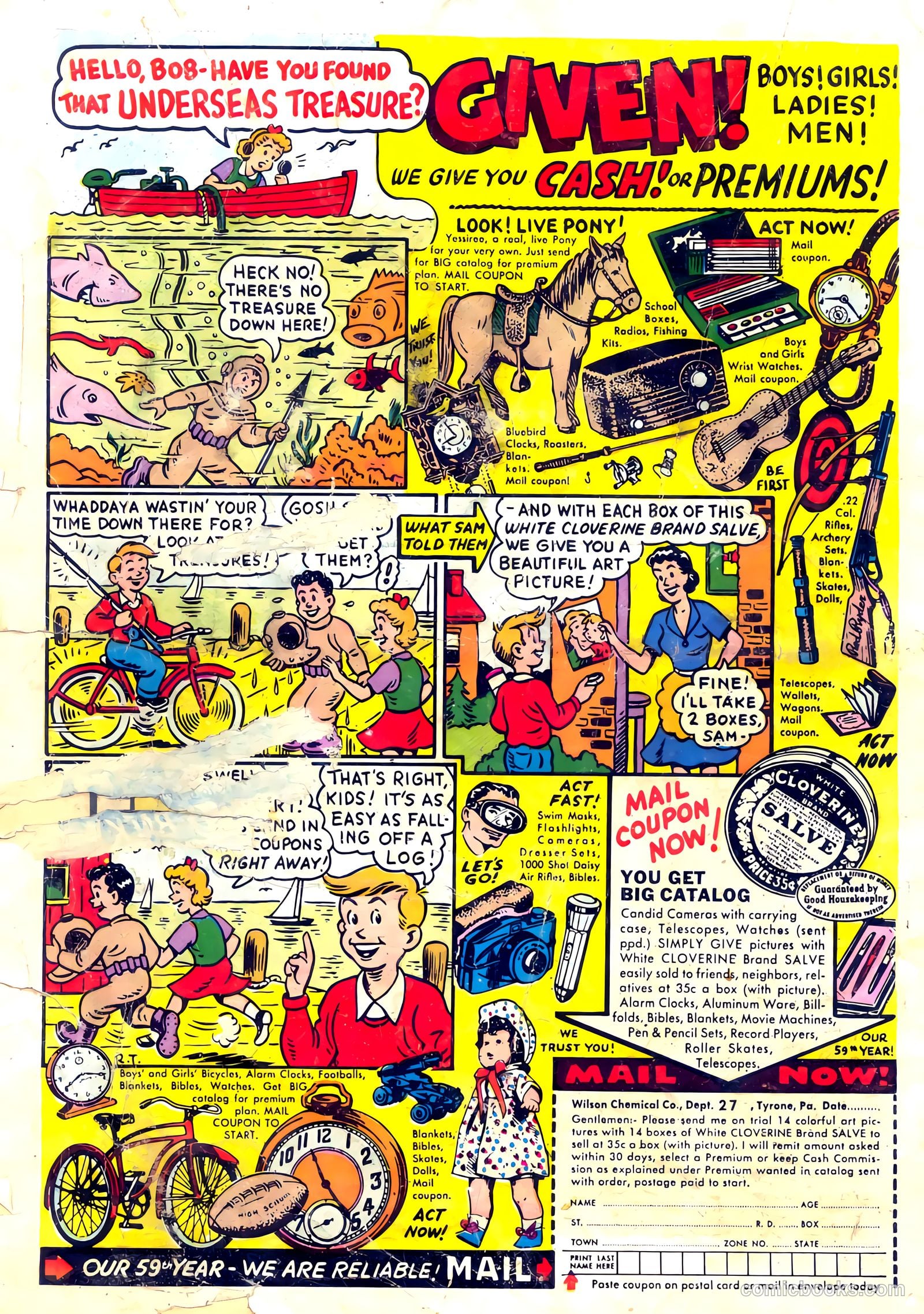 Cookie #53 — page 36 of 36