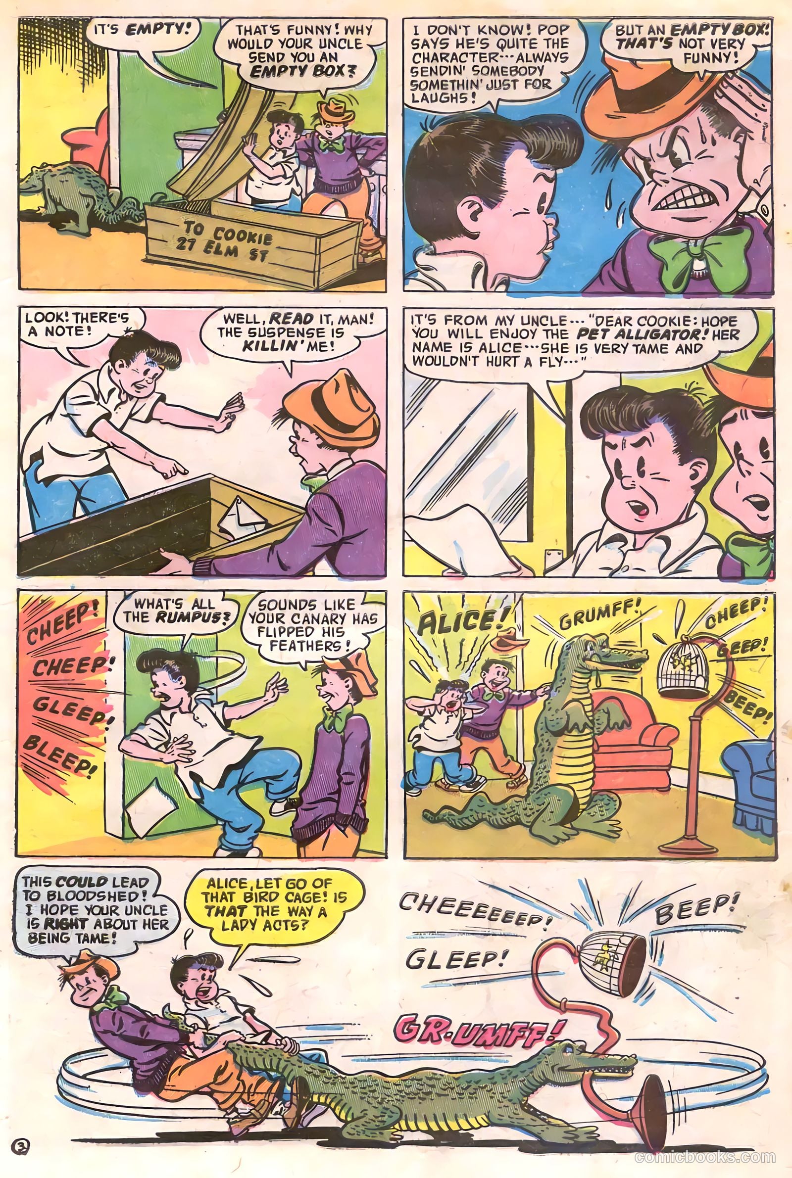 Cookie #55 — page 5 of 36