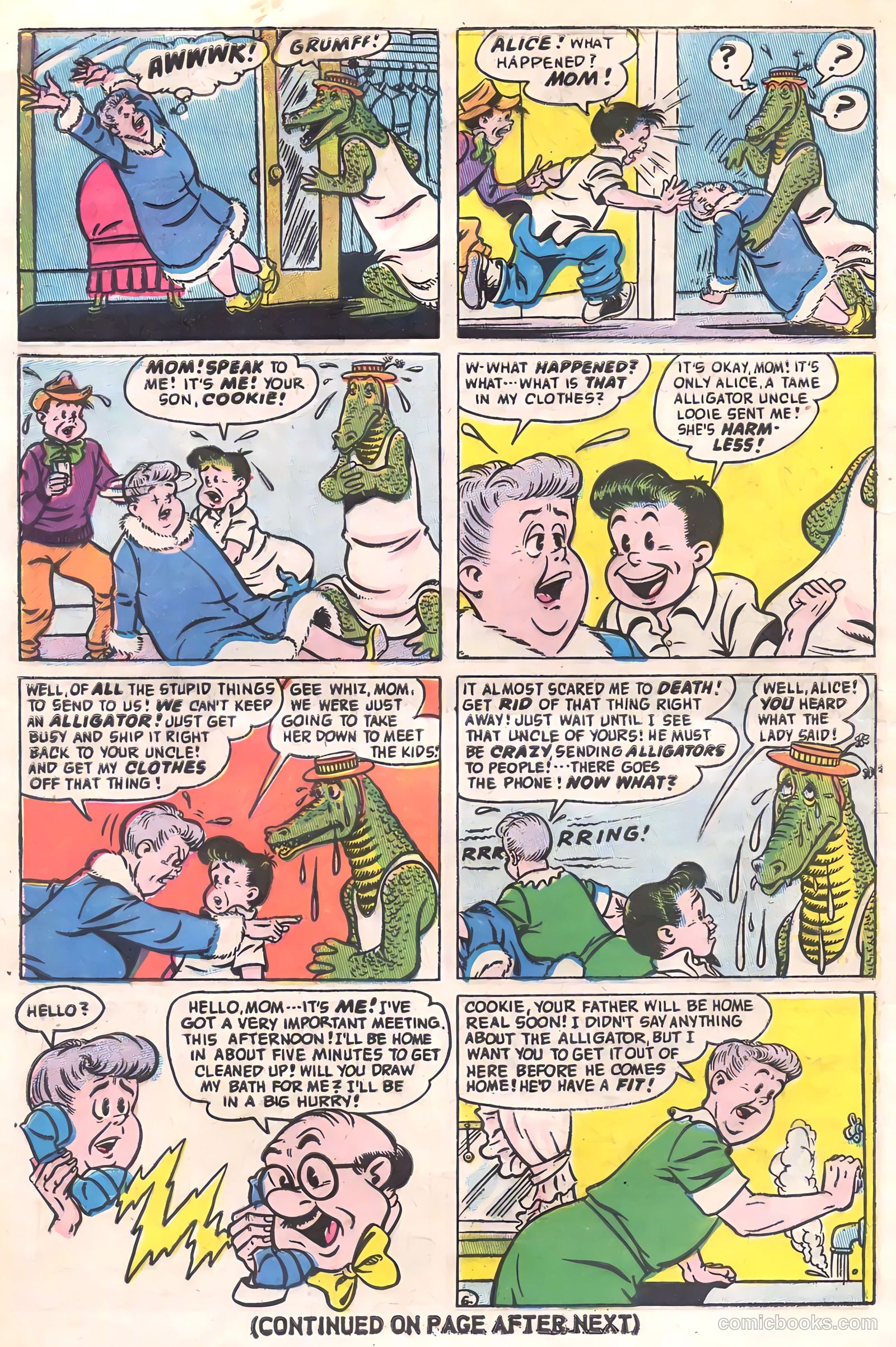 Cookie #55 — page 8 of 36