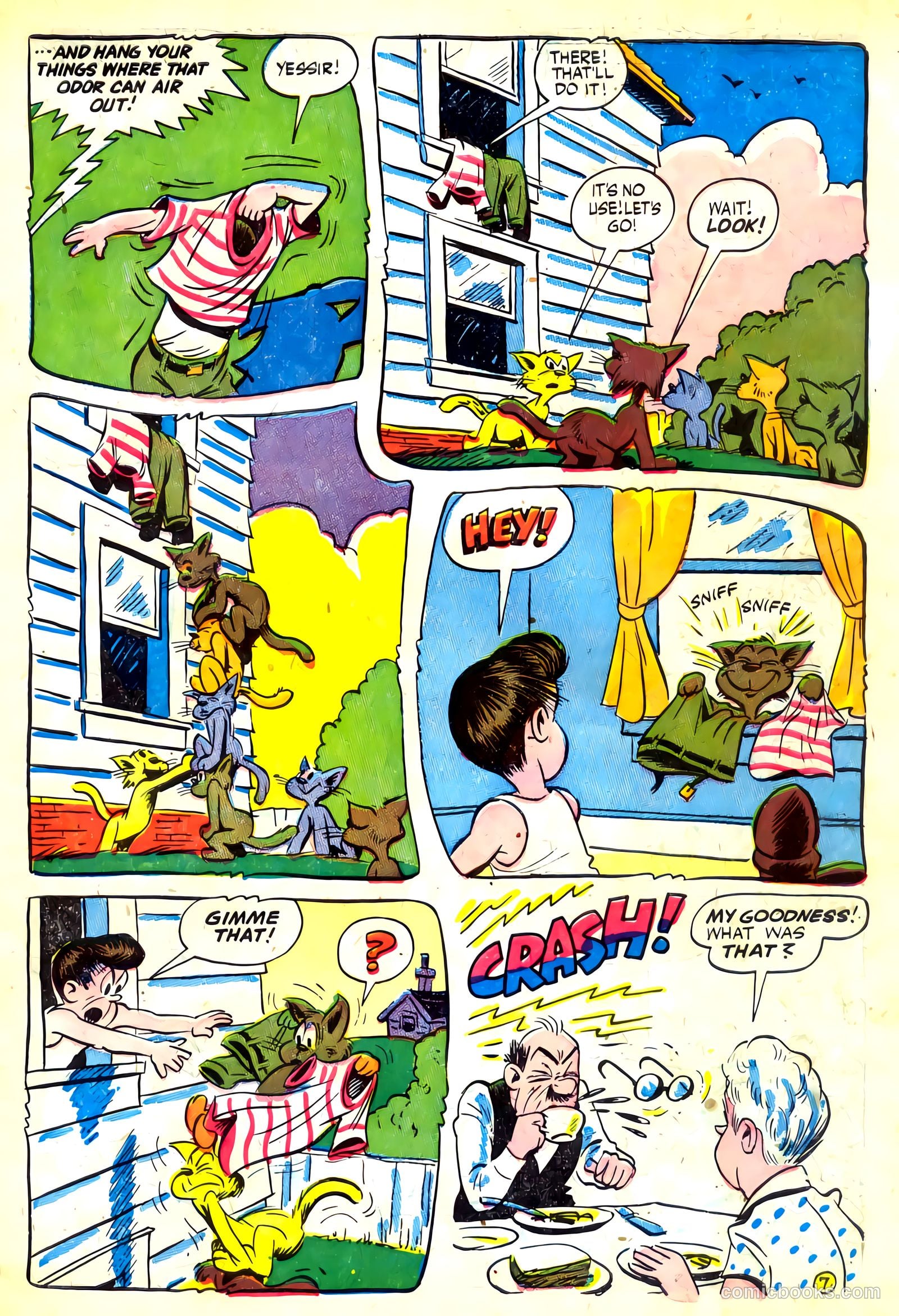 Cookie #7 — page 9 of 52