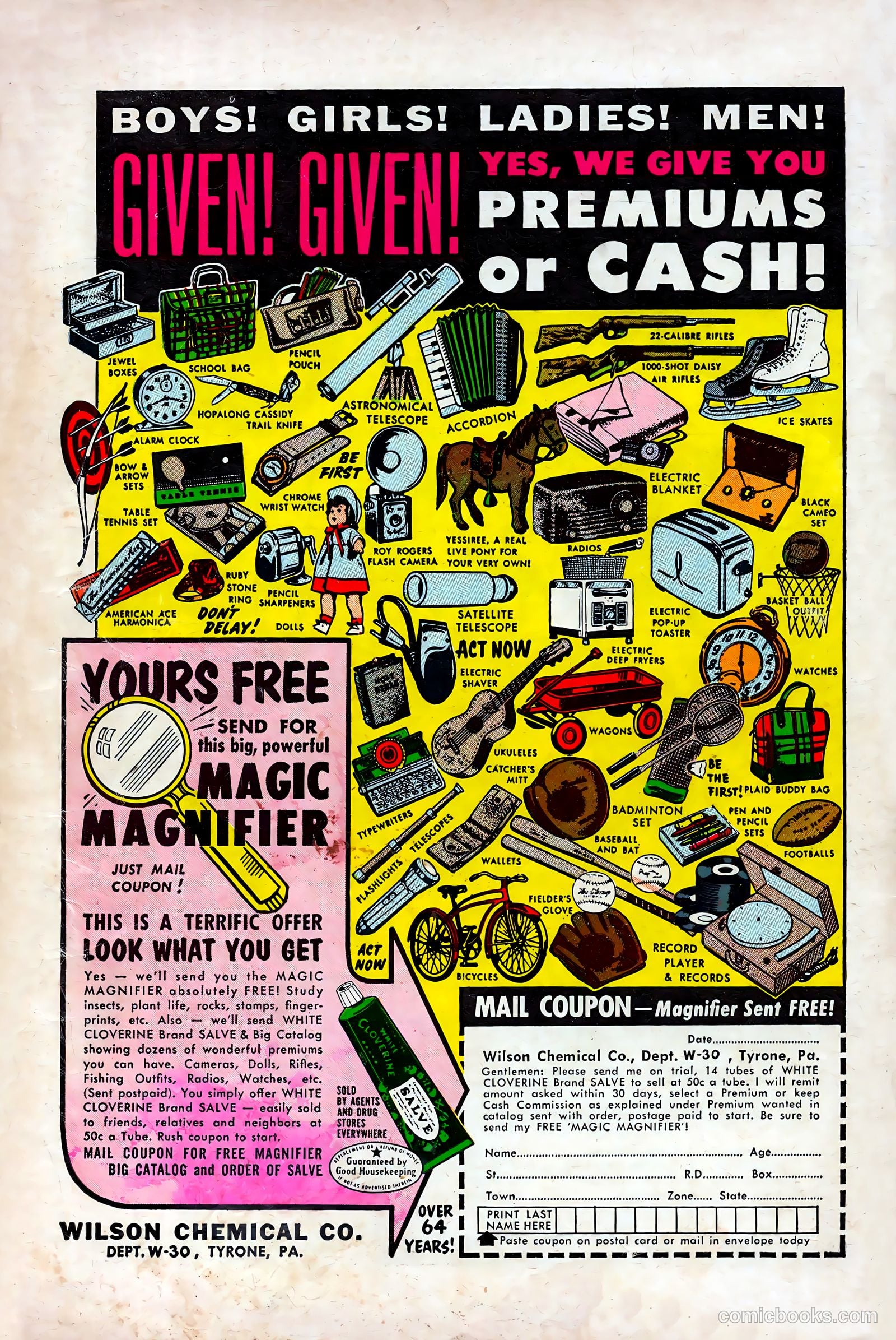 Cosmo Cat #1 — page 36 of 36