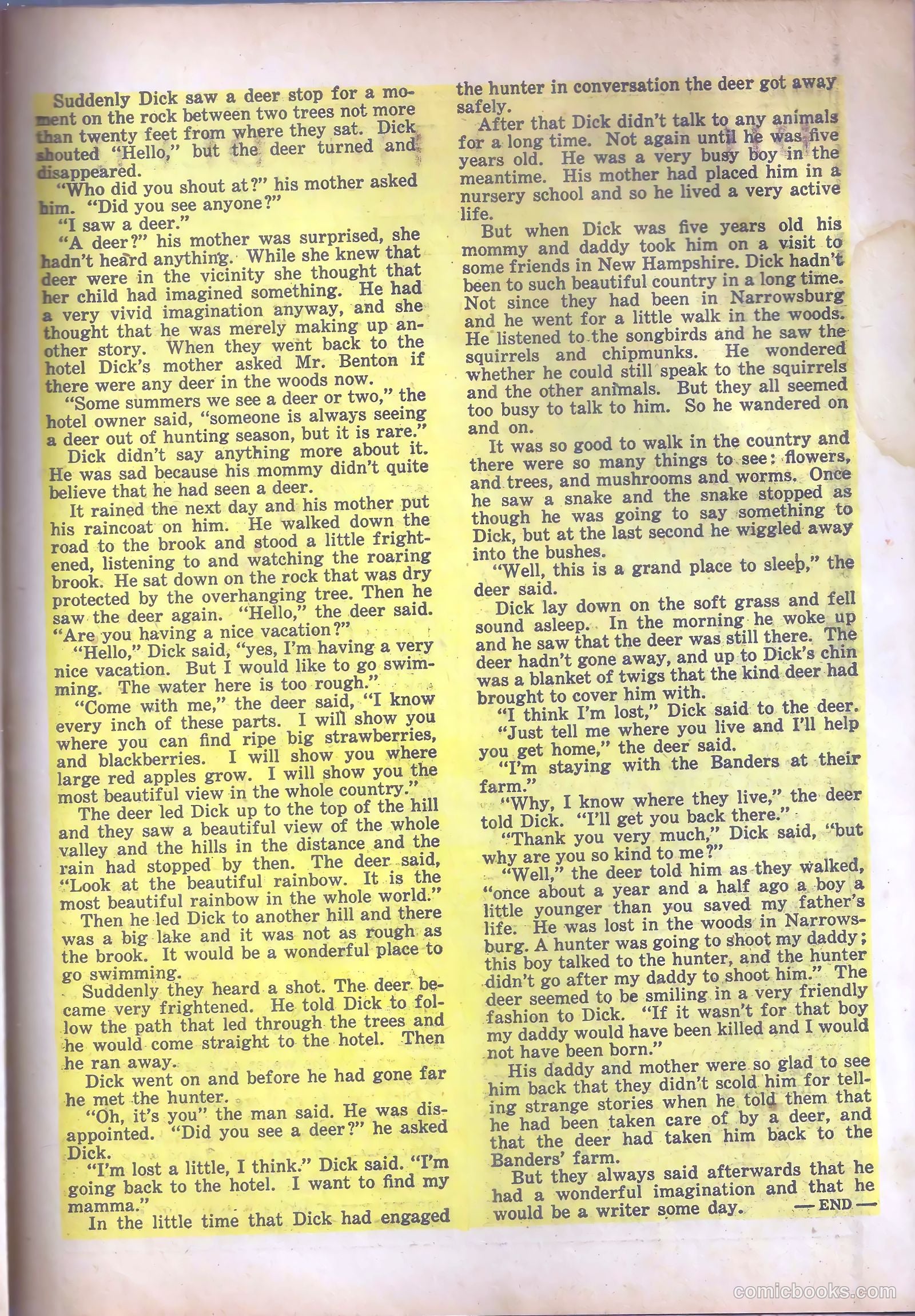 Cosmo Cat #1 — page 27 of 36