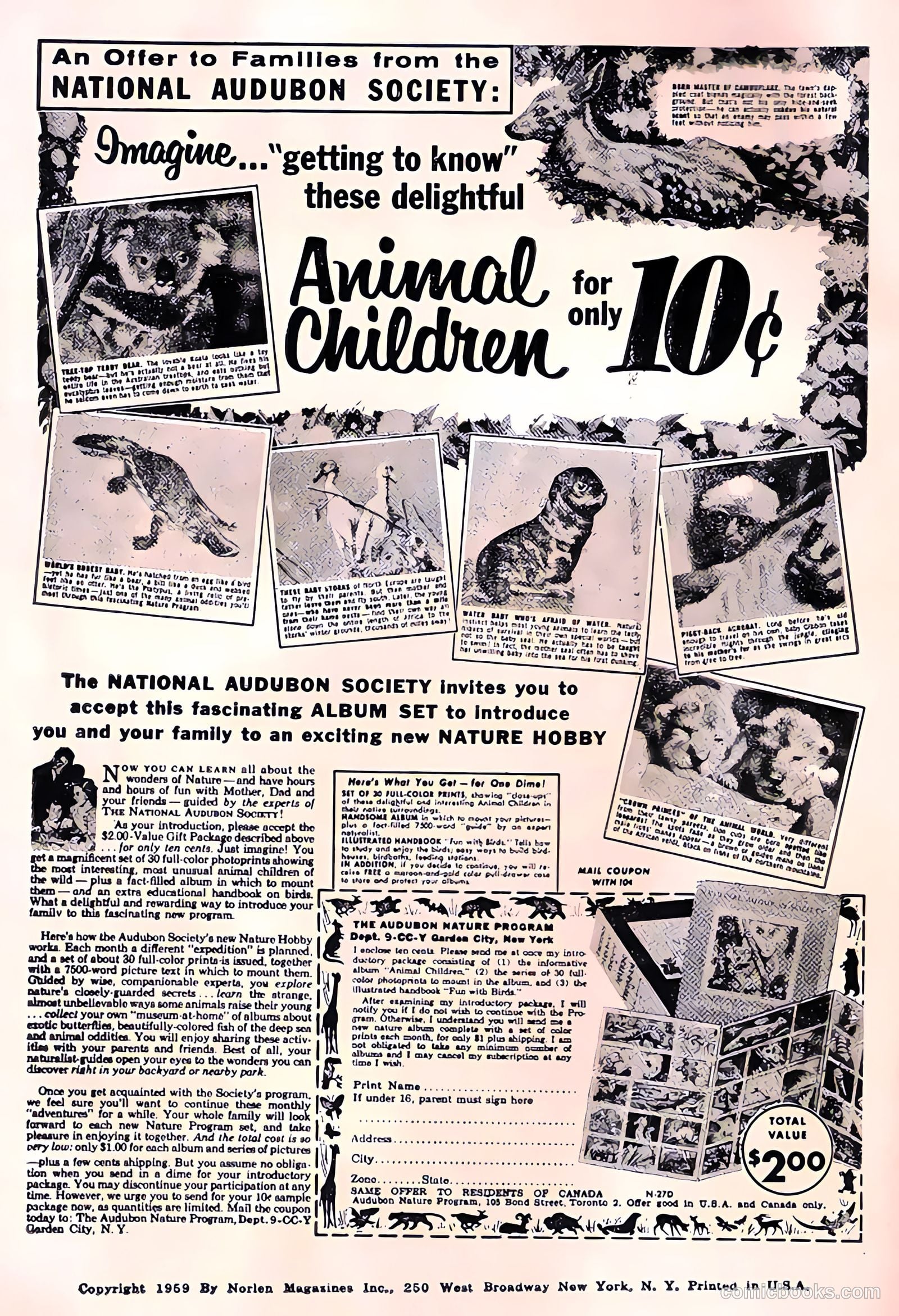 Cosmo Cat #2 — page 2 of 36